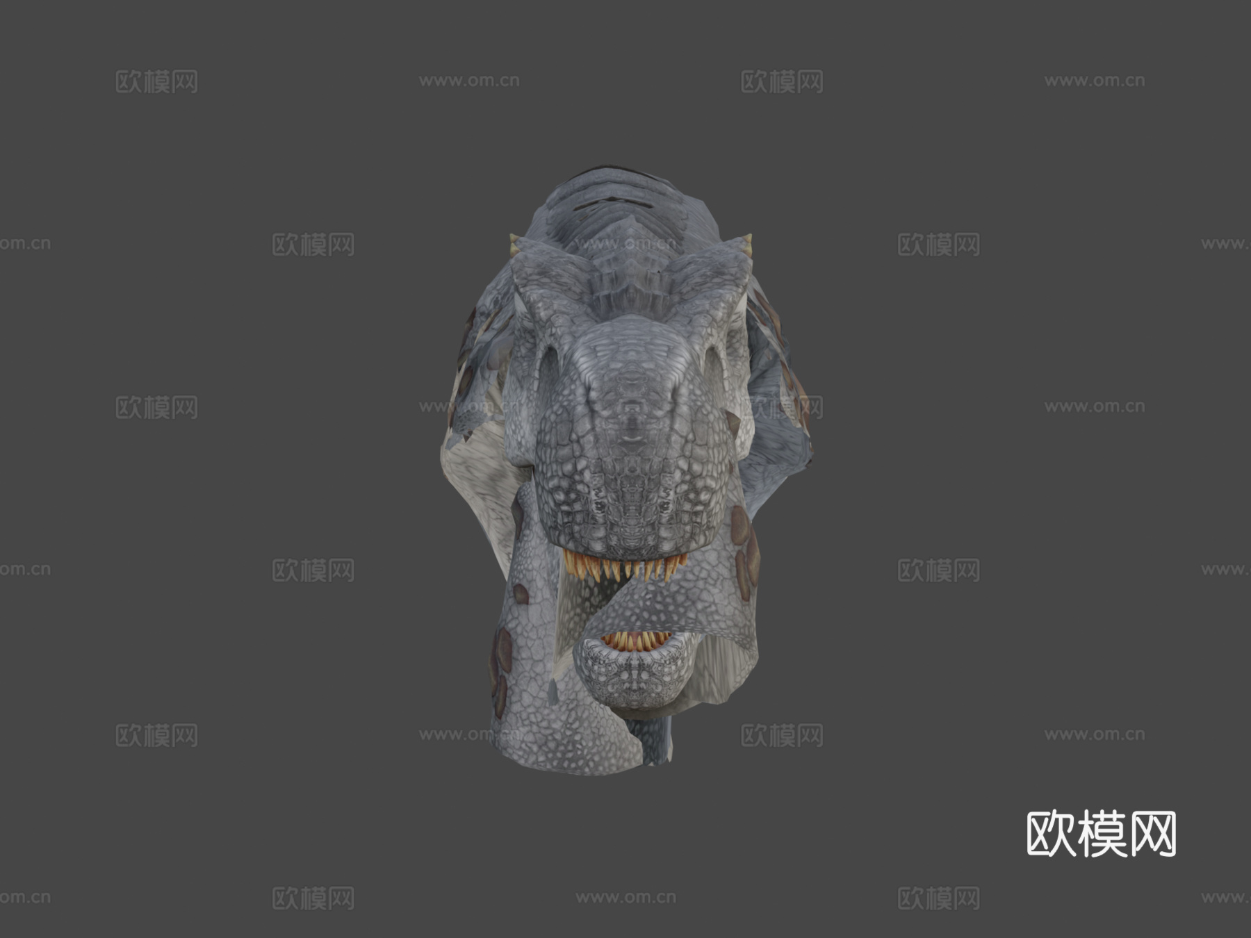 雷克斯-待机3d模型