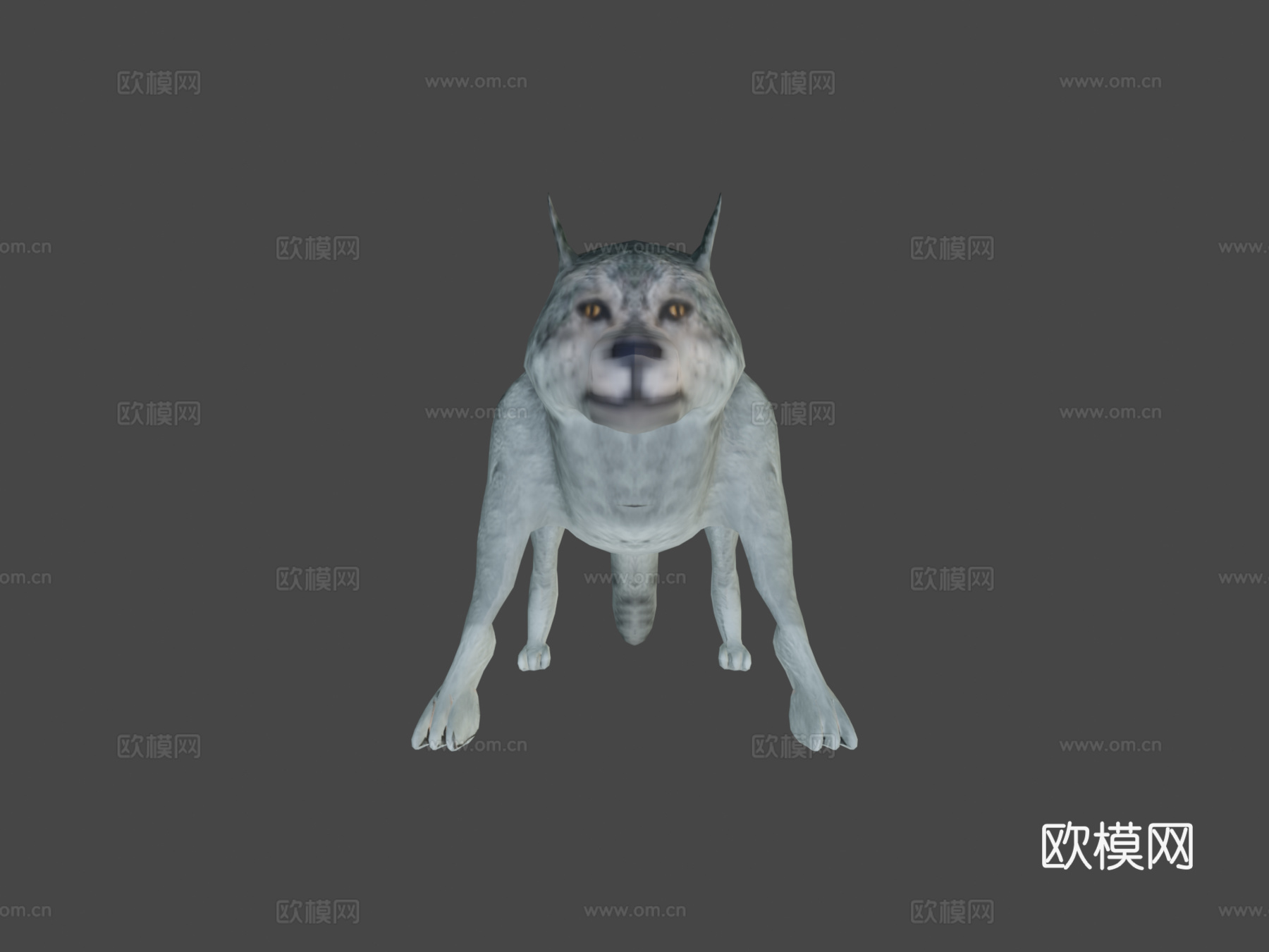 低多边形狼3d模型