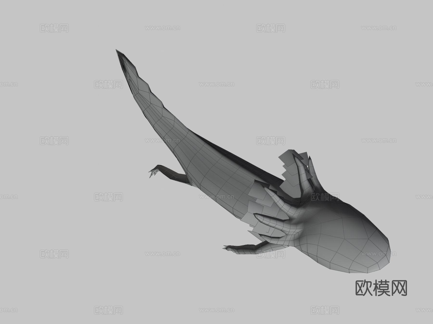 蝾螈3d模型