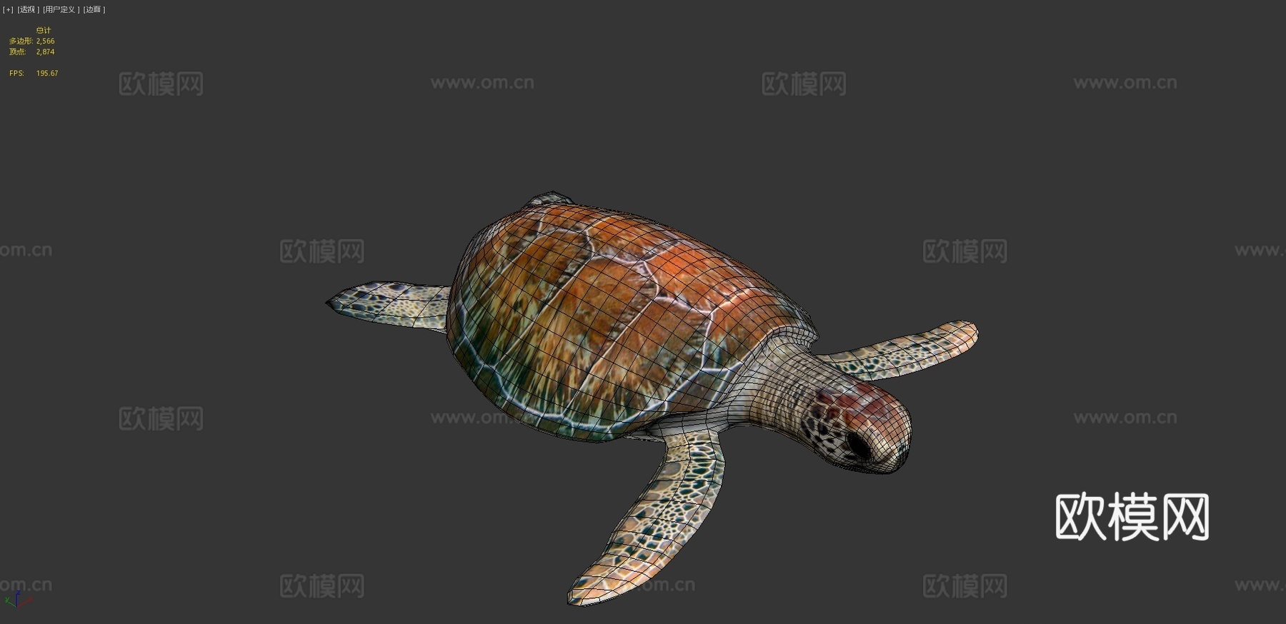 海龟3d模型