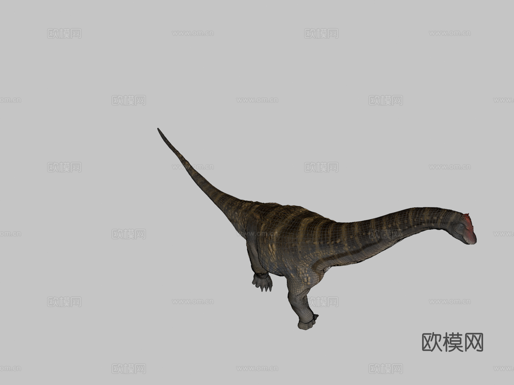 阿拉莫龙3d模型