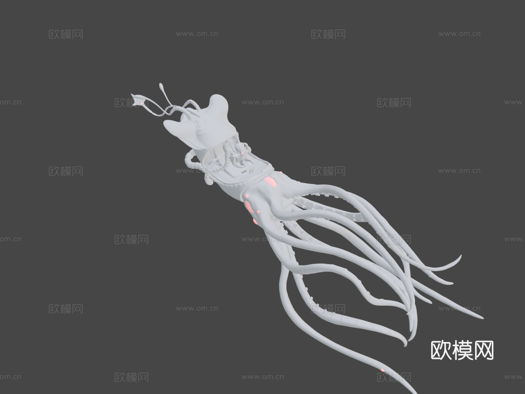 章鱼鱿鱼3d模型