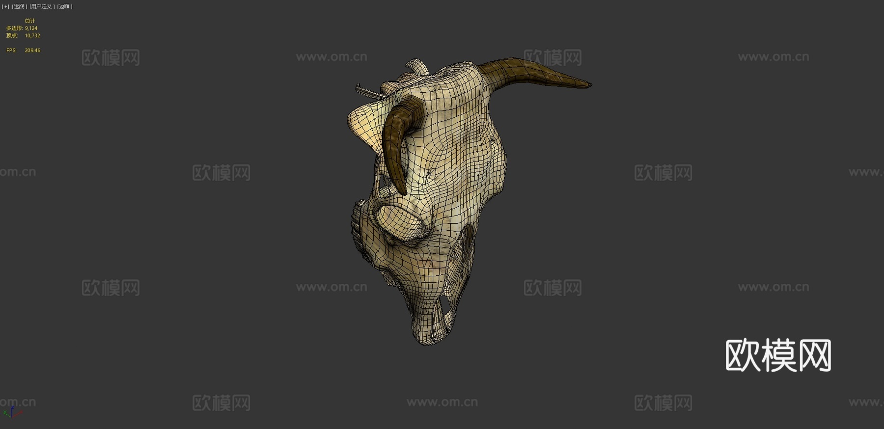 牛头骨3d模型