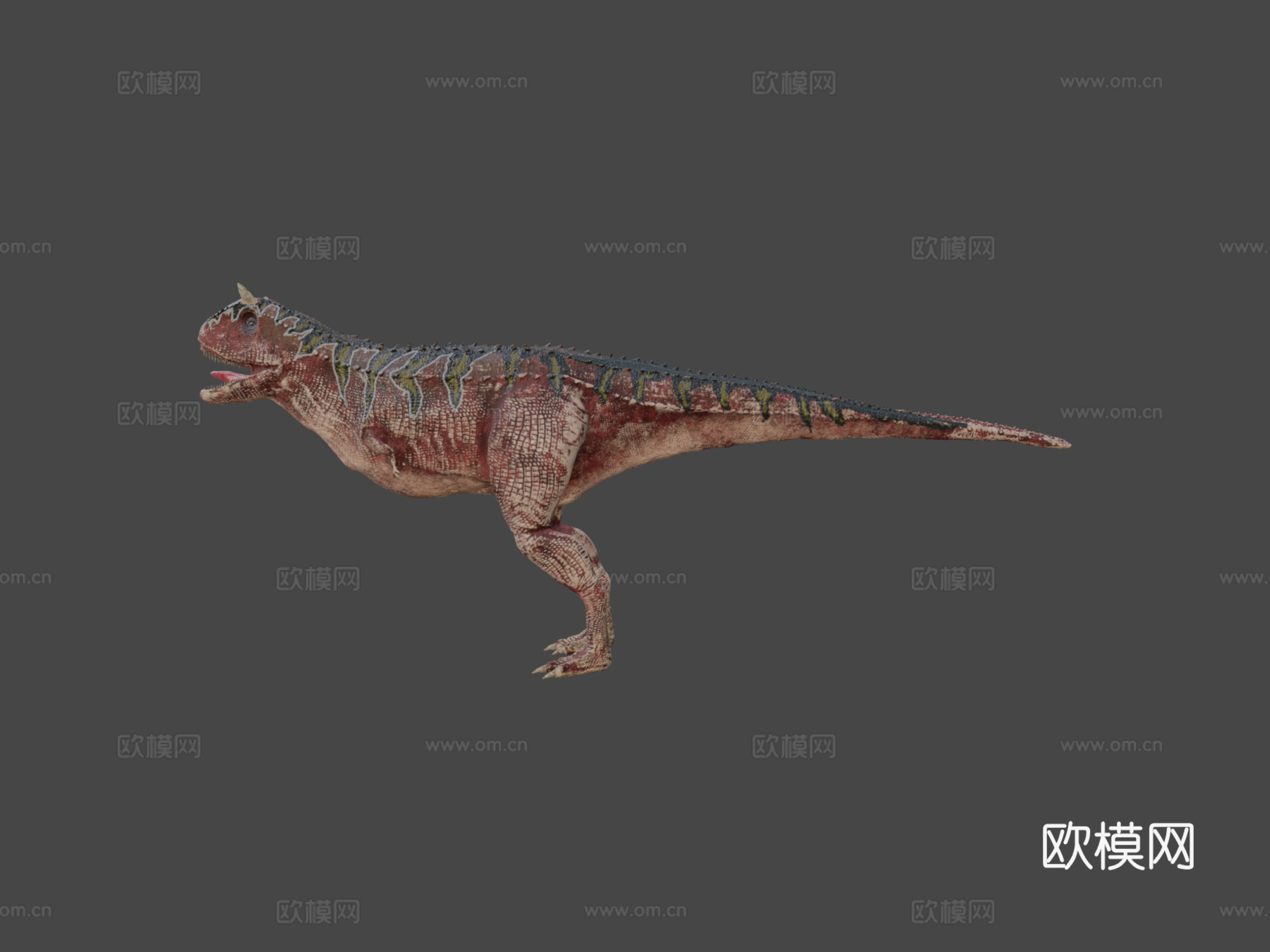 食肉牛龙3d模型