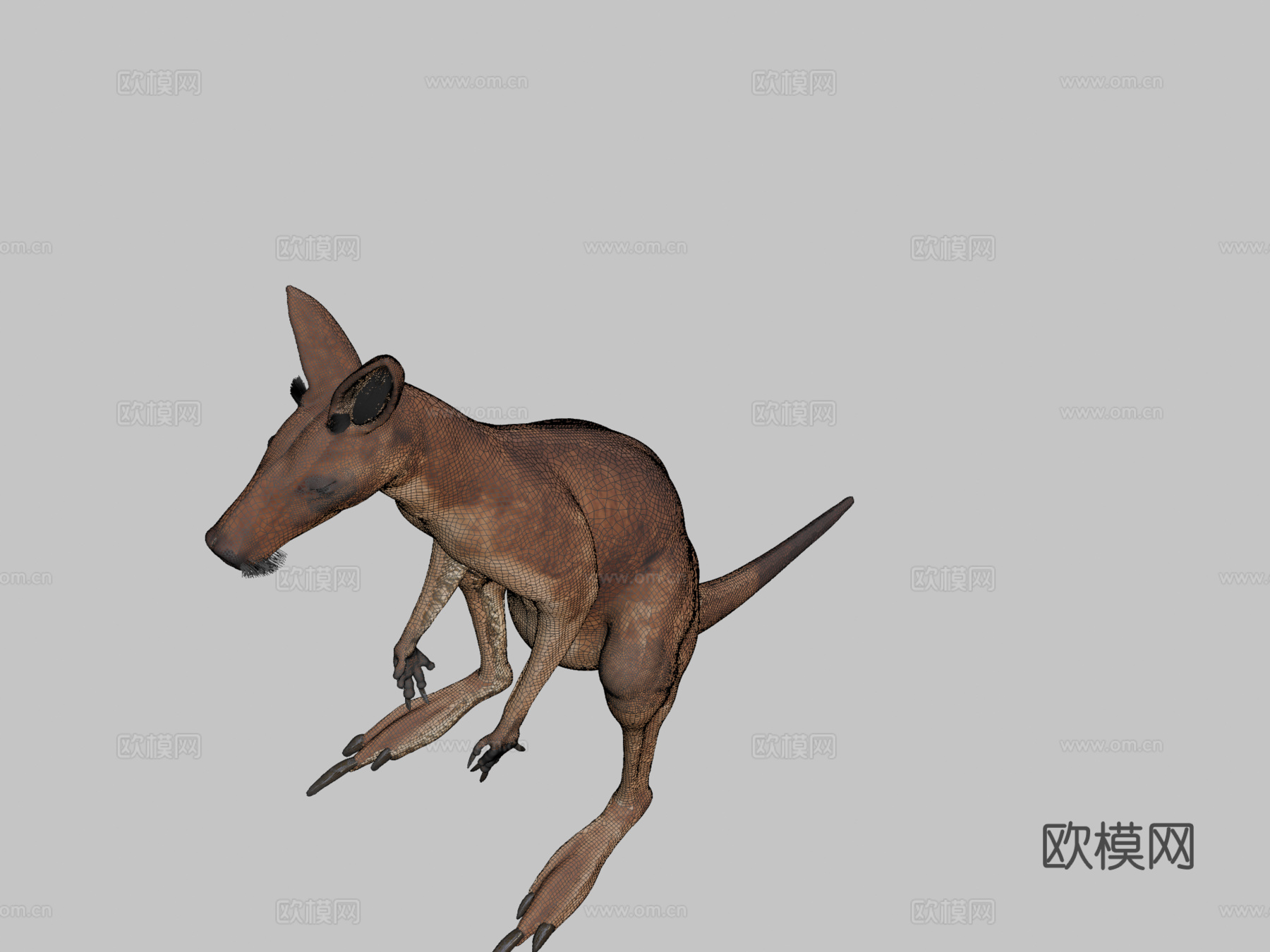 袋鼠3d模型