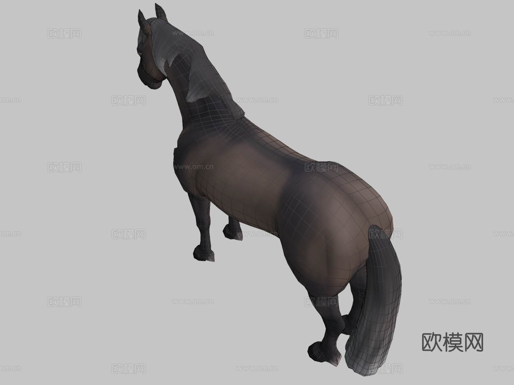 冰岛马3d模型