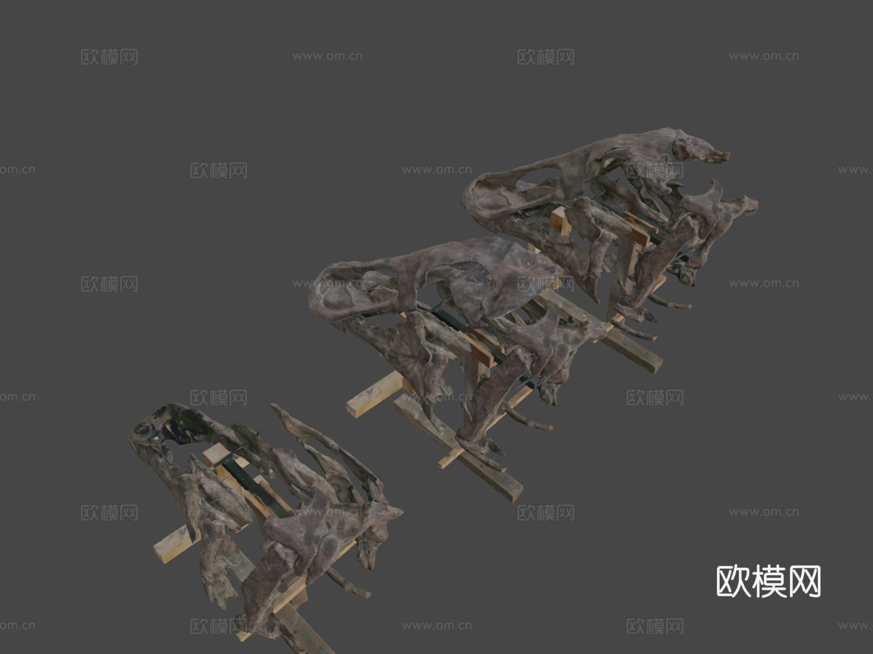 神威龙头骨3d模型
