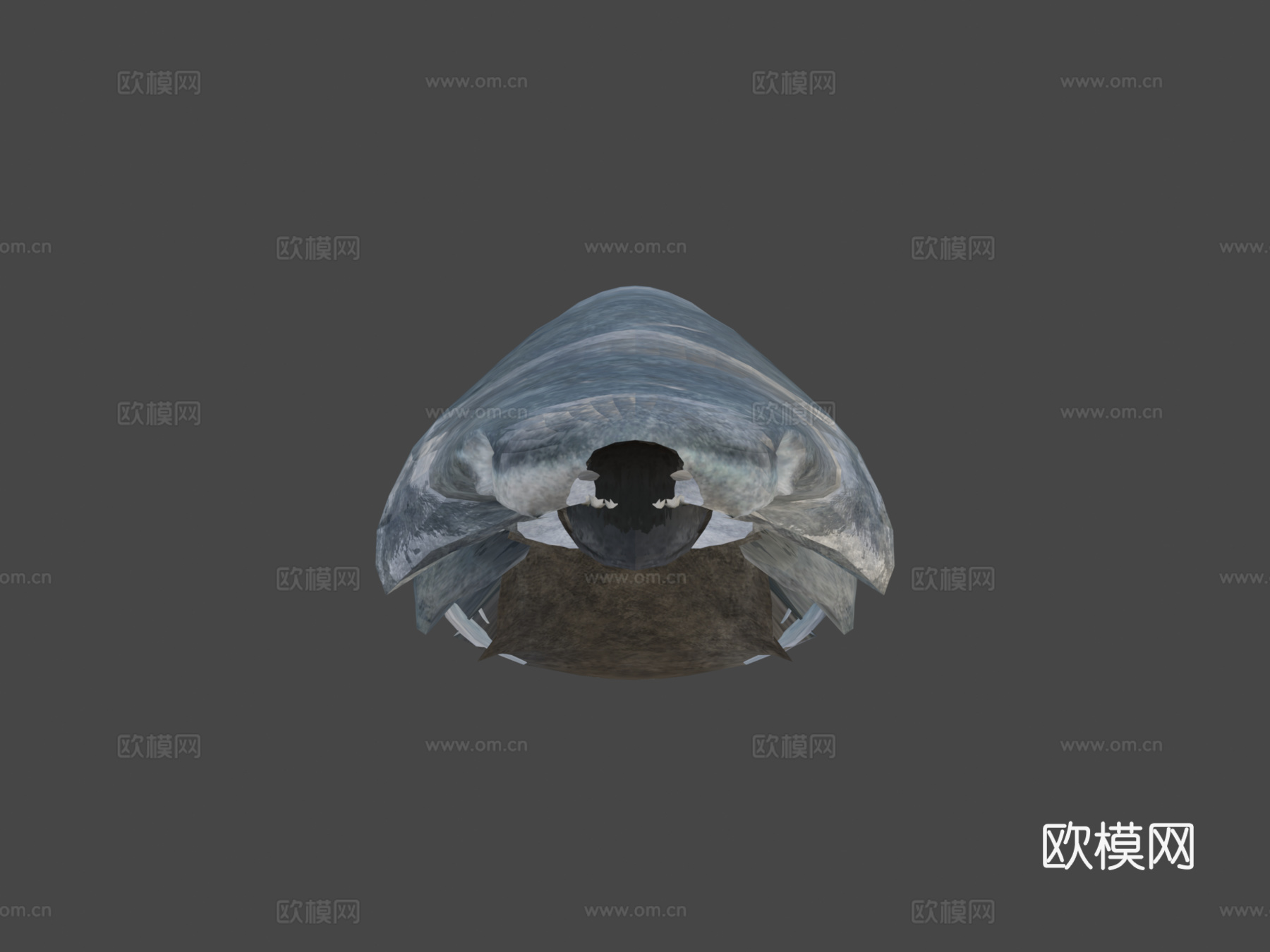 刺鲨3d模型