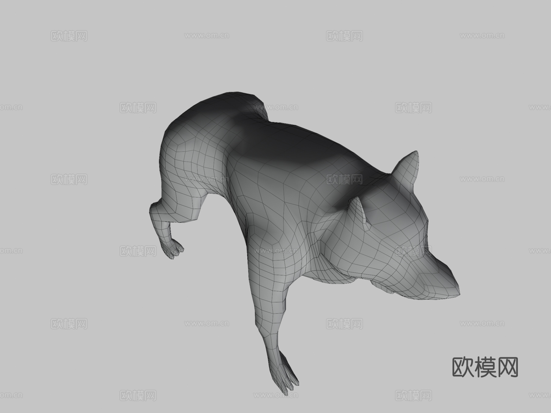 低多边形狼3d模型