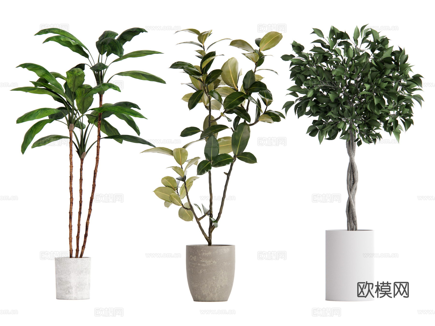 植物盆栽su模型