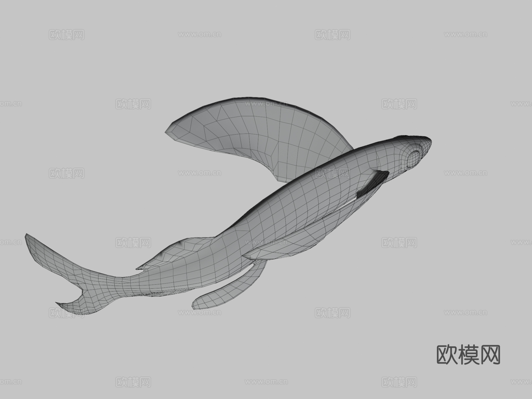 飞鱼3d模型