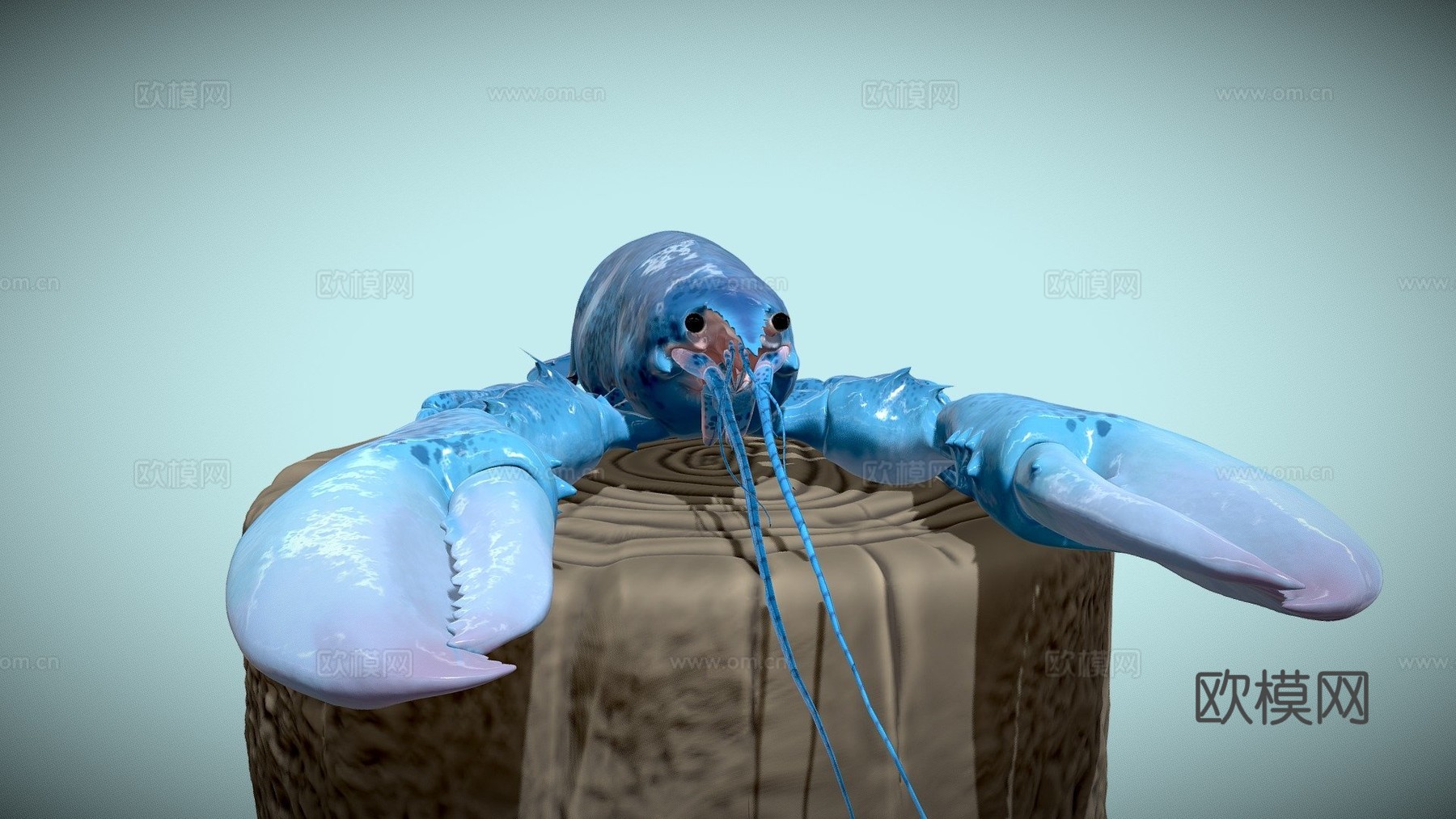 蓝龙虾3d模型