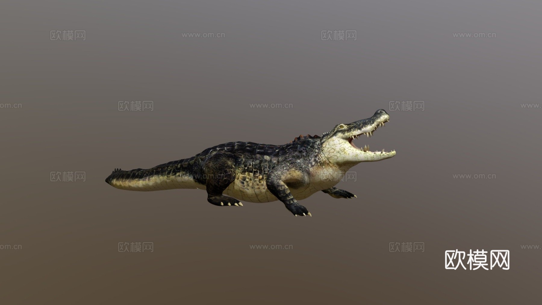 鳄鱼3d模型