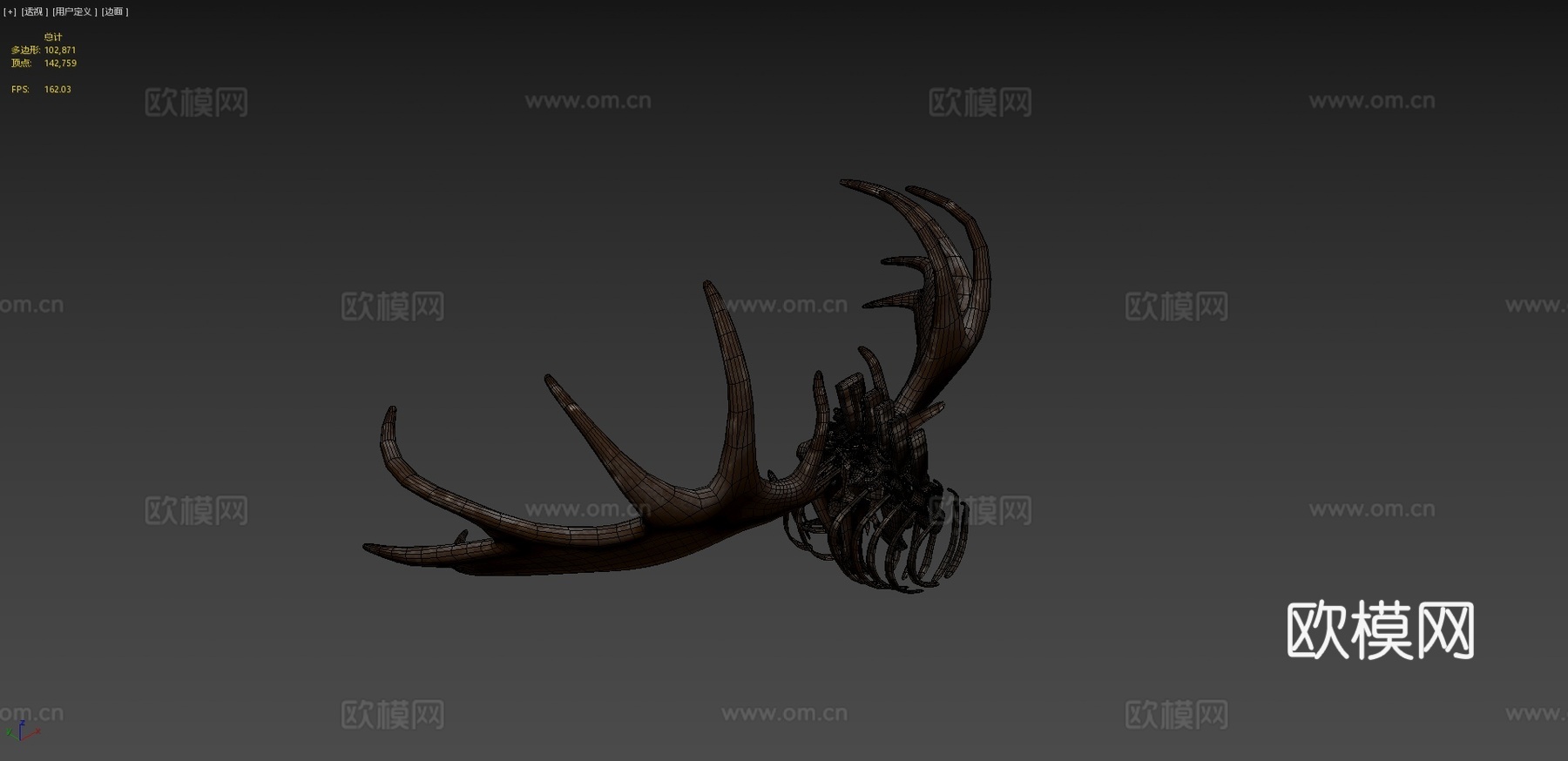 爱尔兰鹿化石3d模型