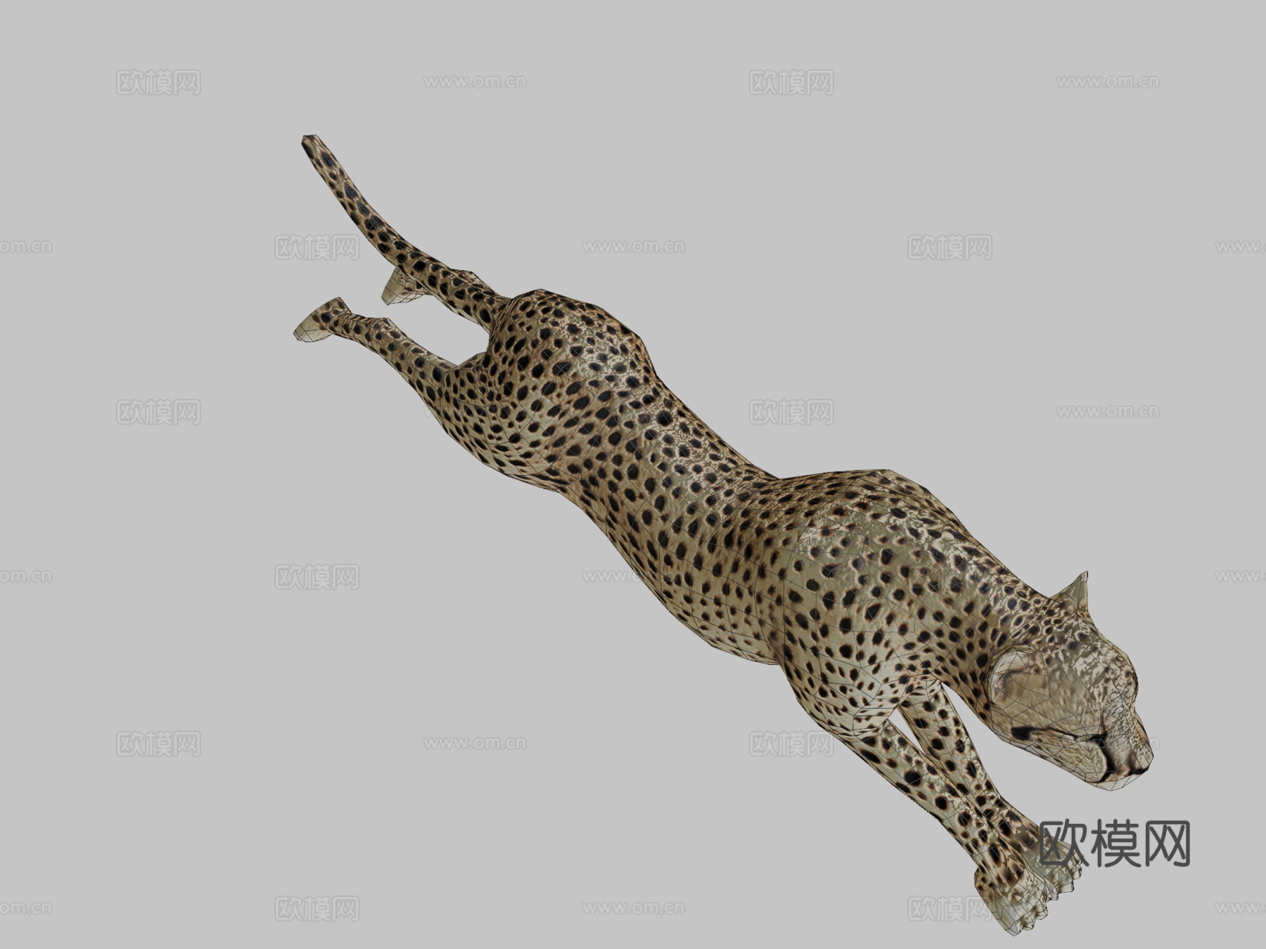 猎豹3d模型