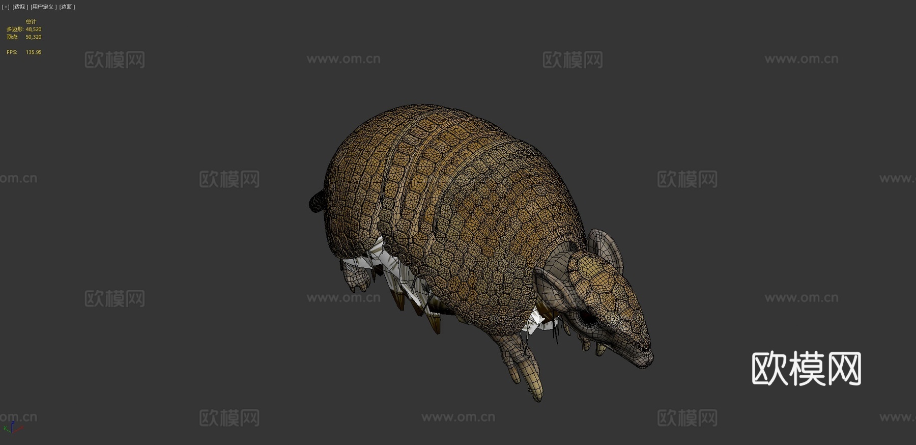 三带犰狳3d模型