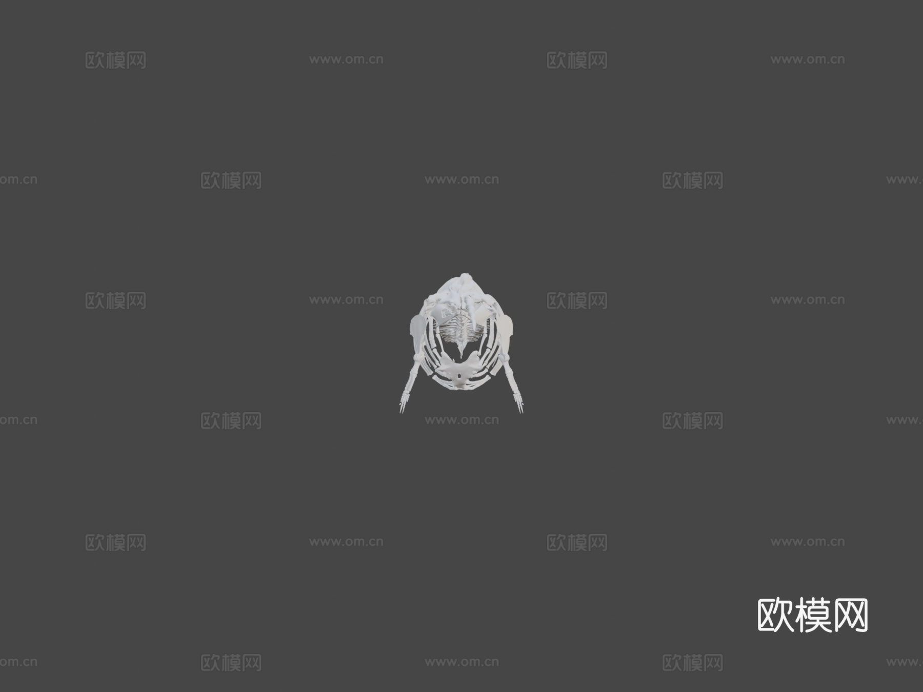 UAM3380独角鲸3d模型