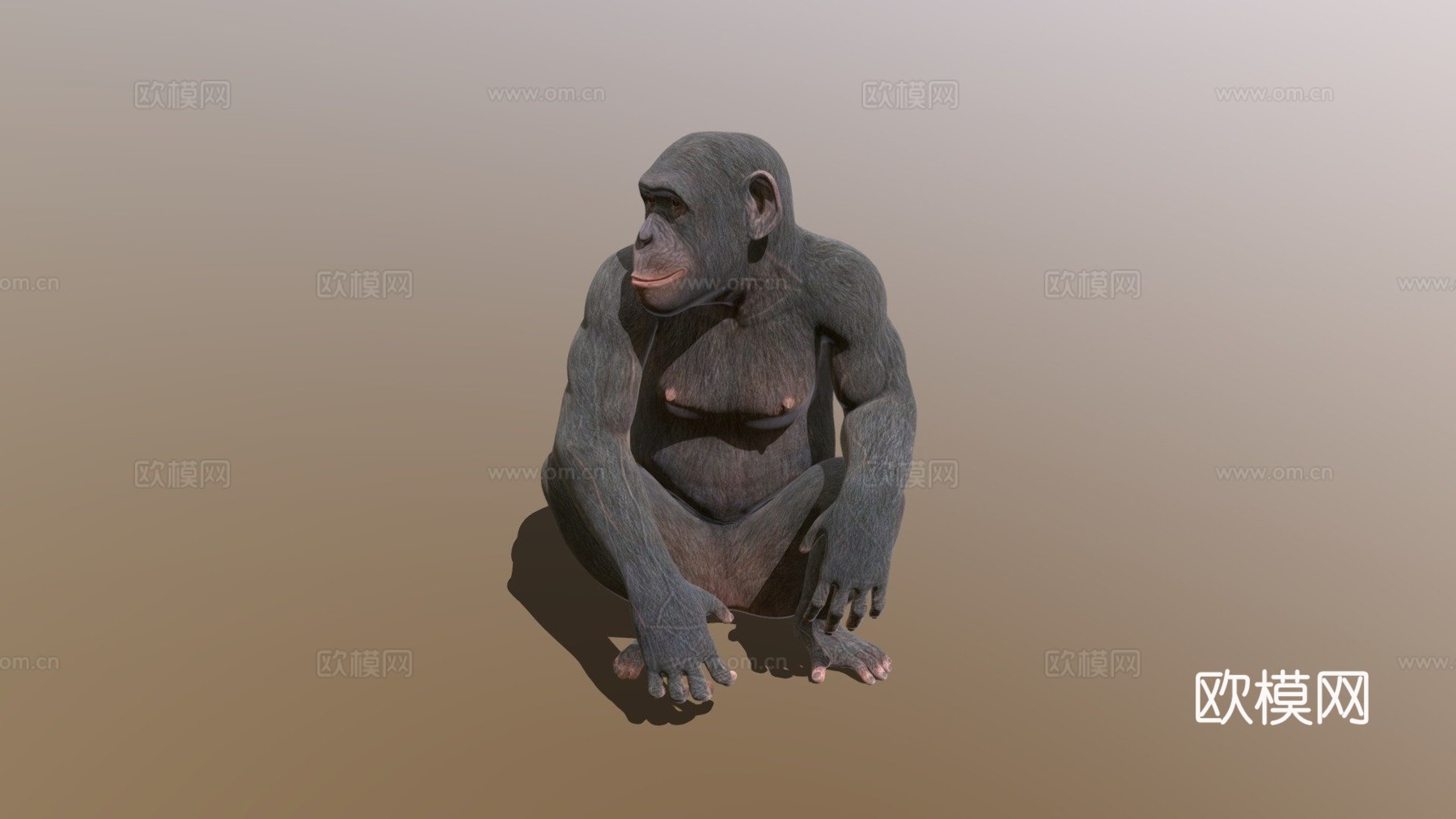猿3d模型