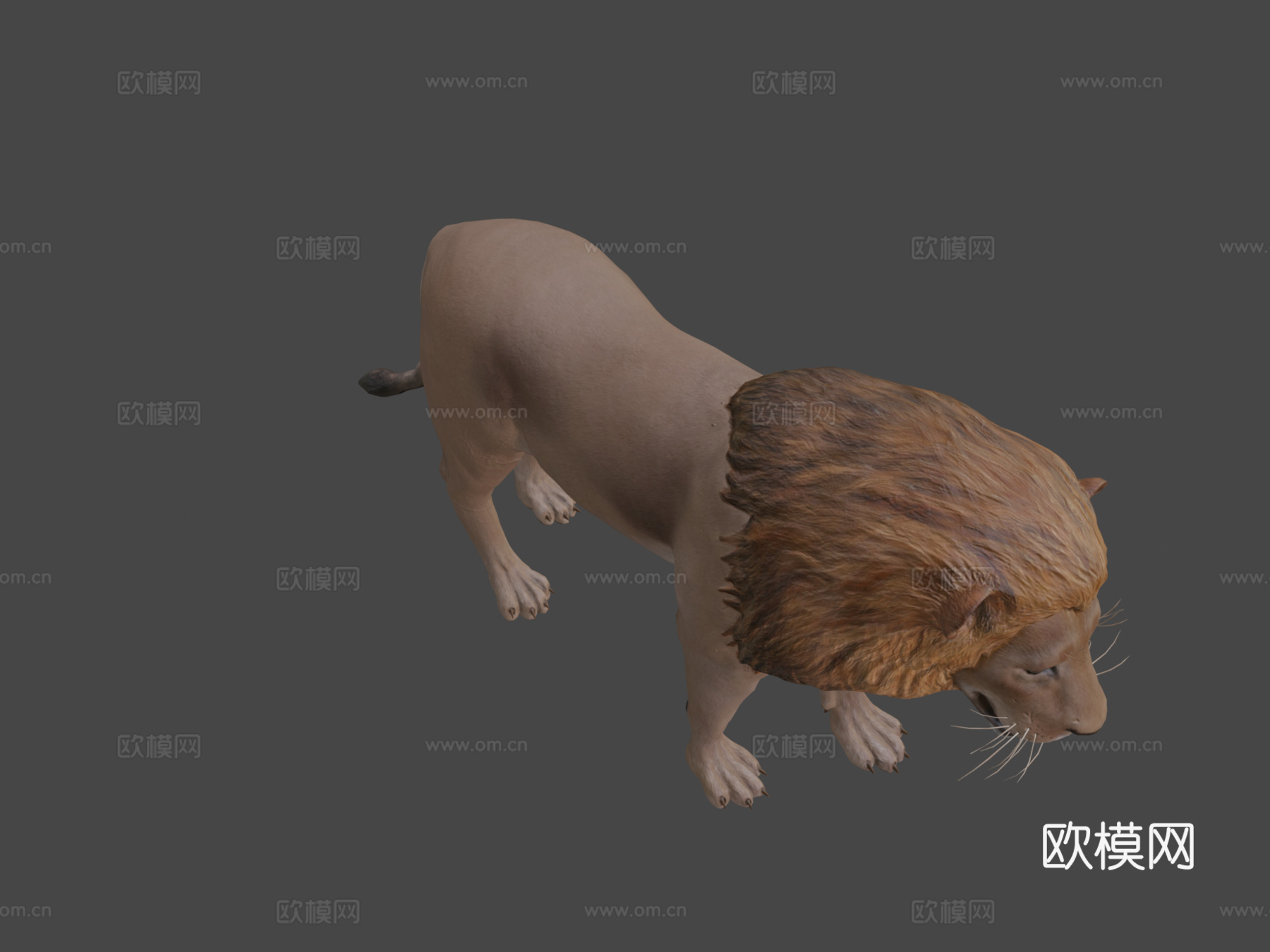 狮子3d模型
