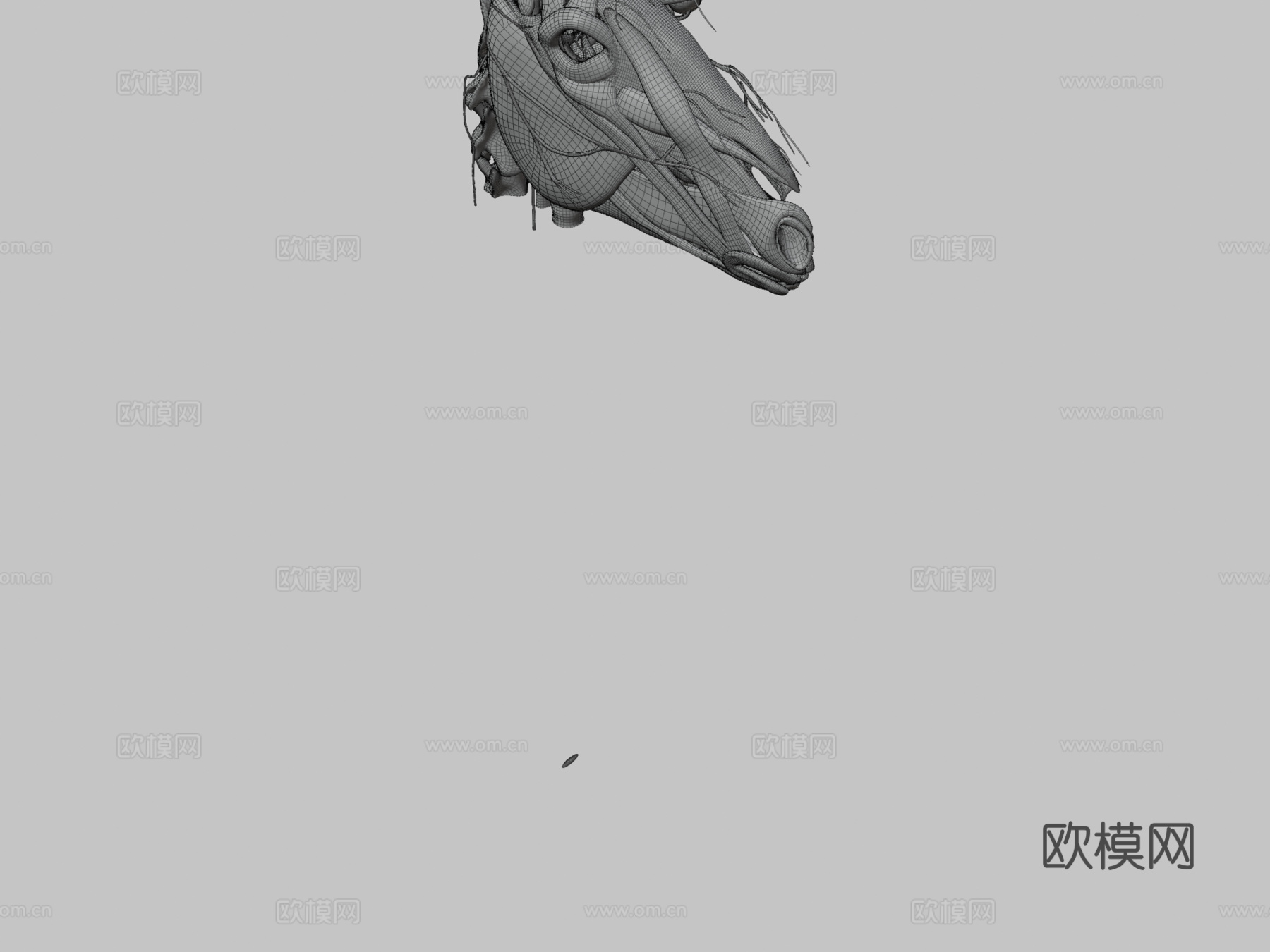 马颅神经模型第二部分3d模型