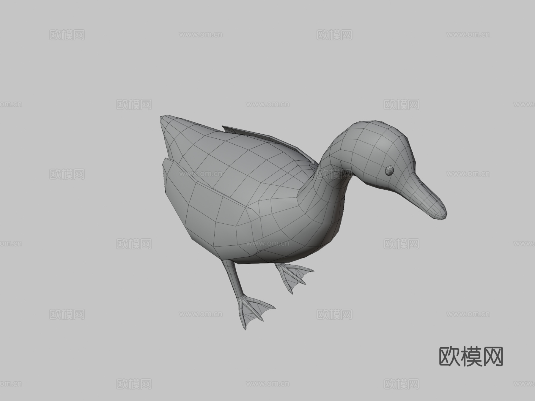 绿头鸭3d模型
