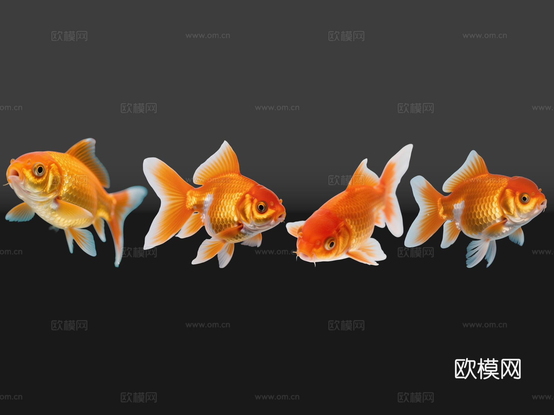 2D动物 金鱼 观赏鱼 水生动物 水族馆 鱼缸su模型su模型