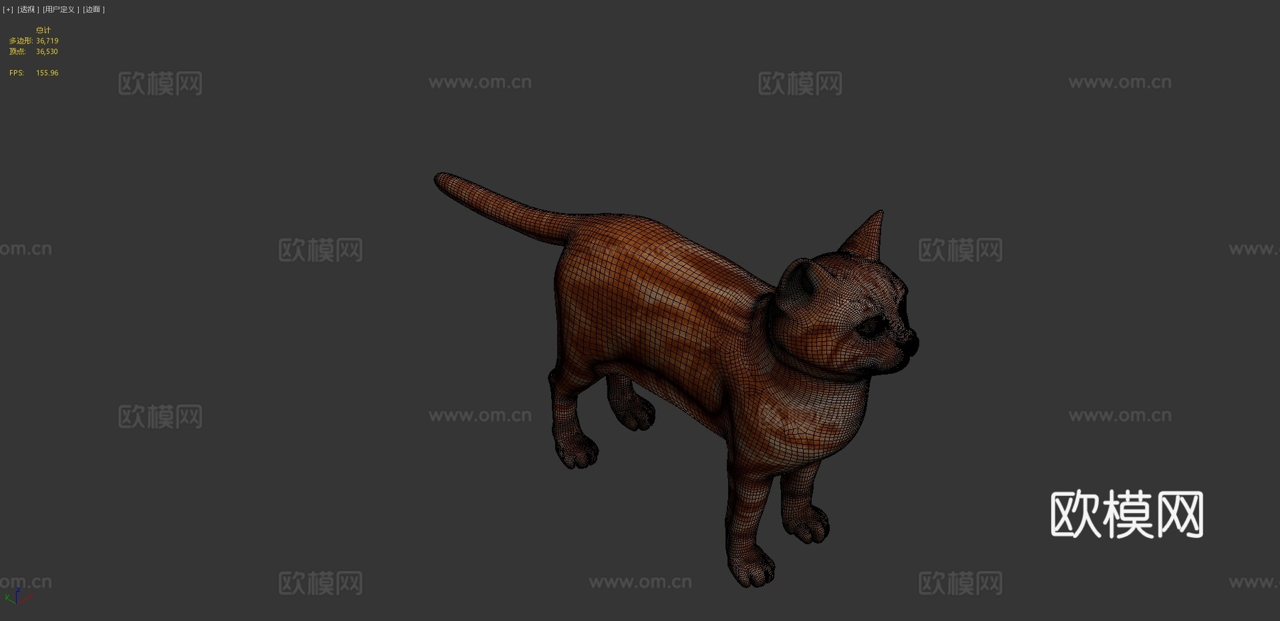 猫3D模型3d模型