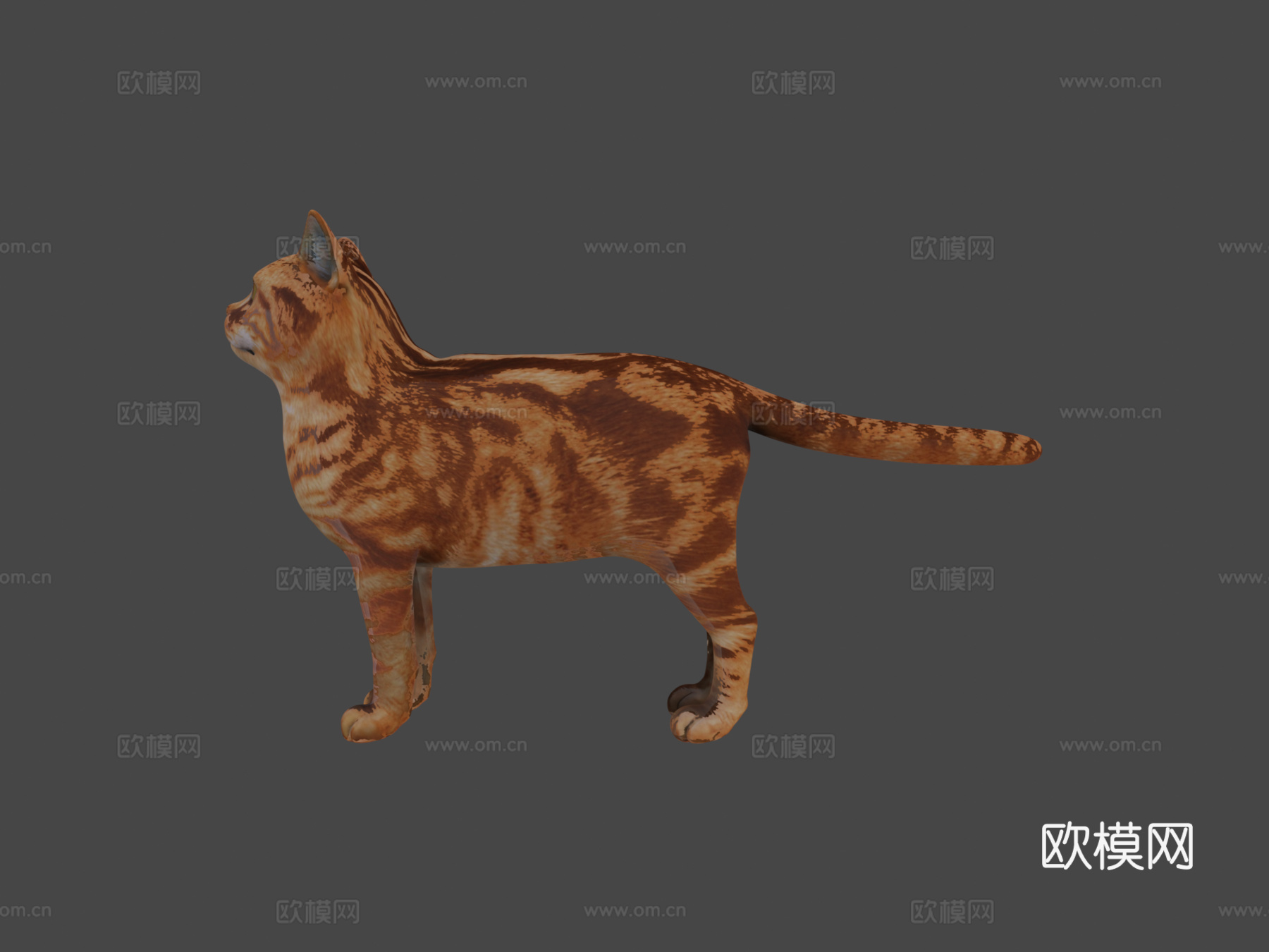 猫3D模型3d模型