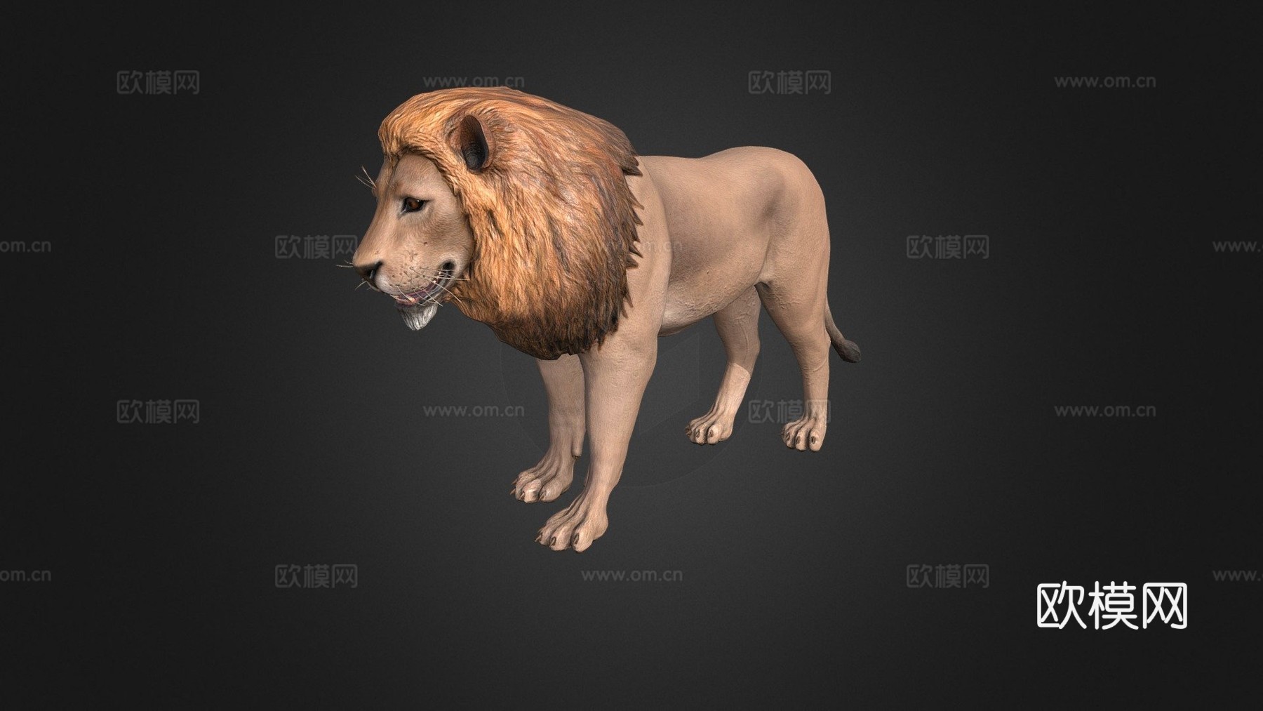 狮子3d模型