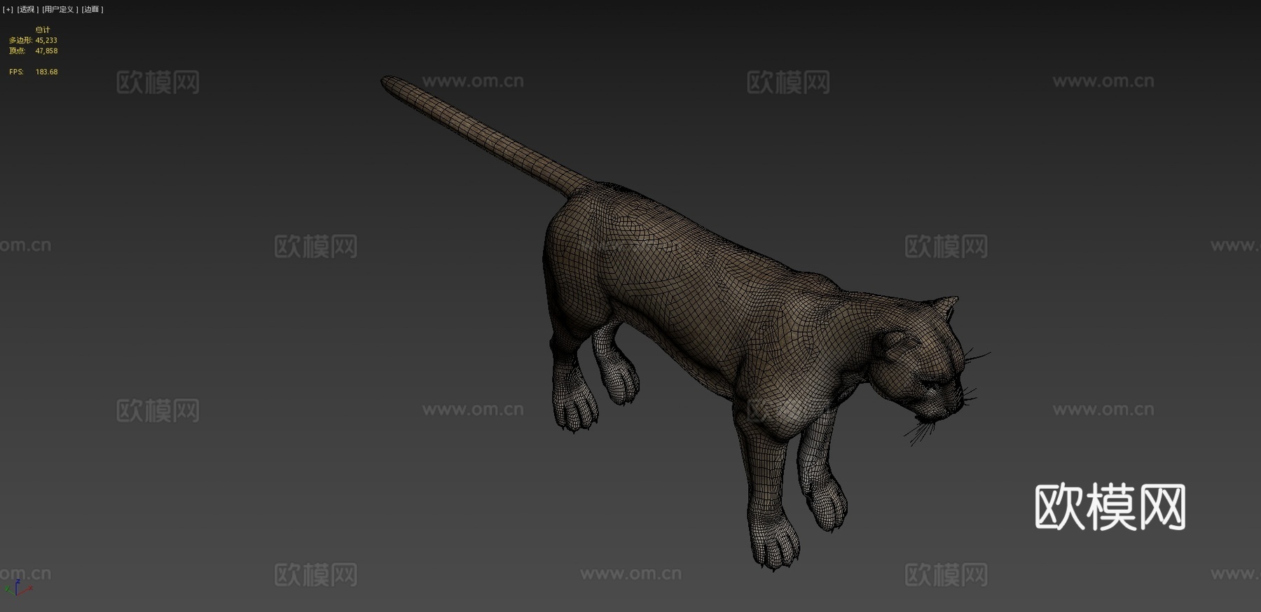 灰美洲狮3d模型