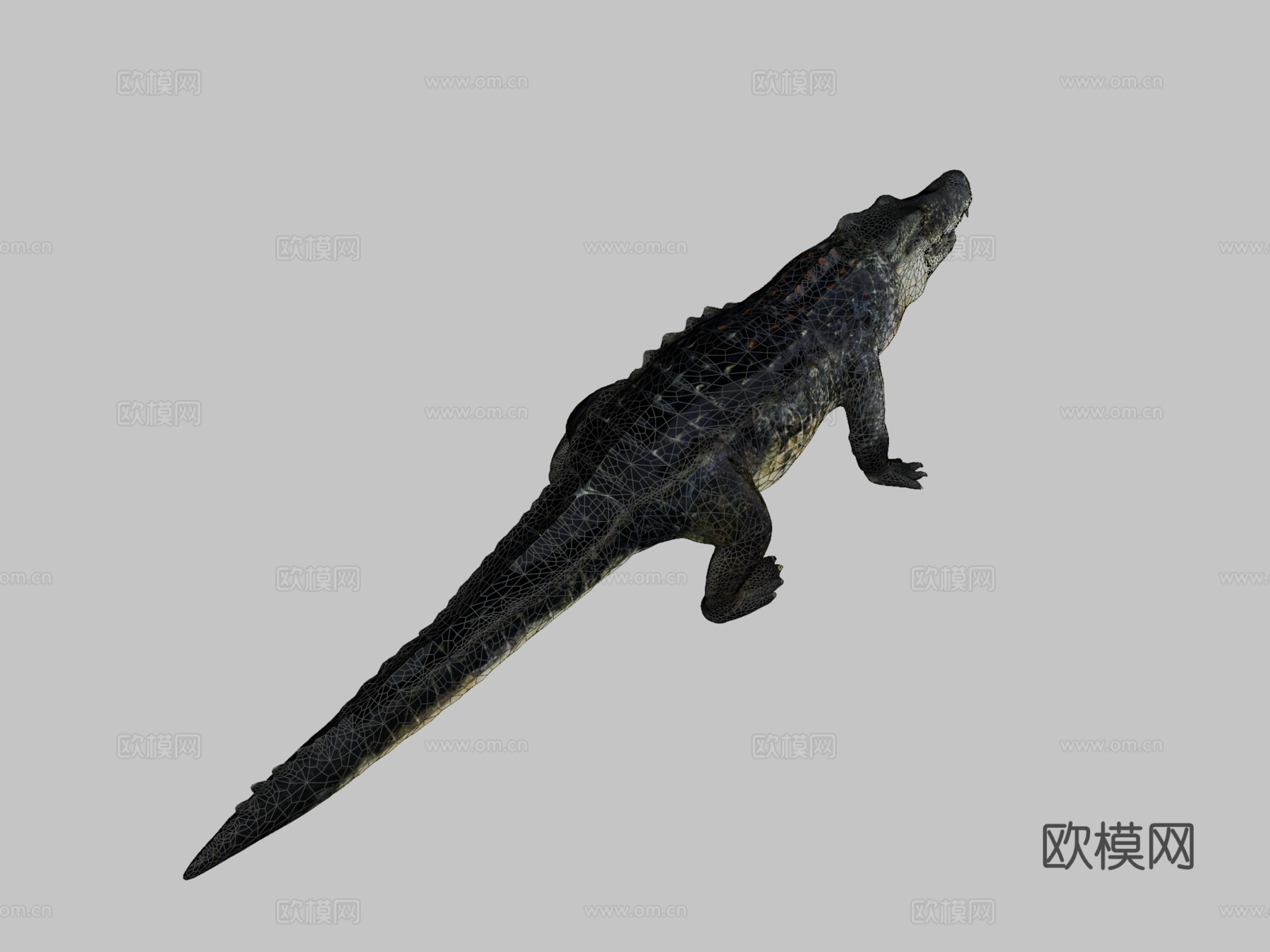 鳄鱼3d模型