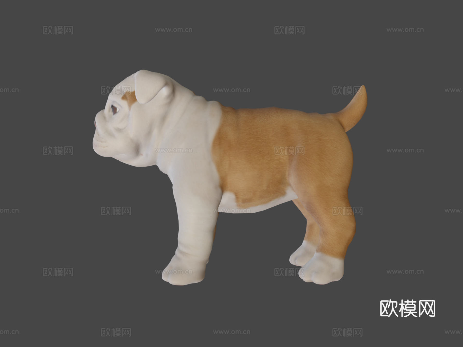 牛头犬幼崽3d模型