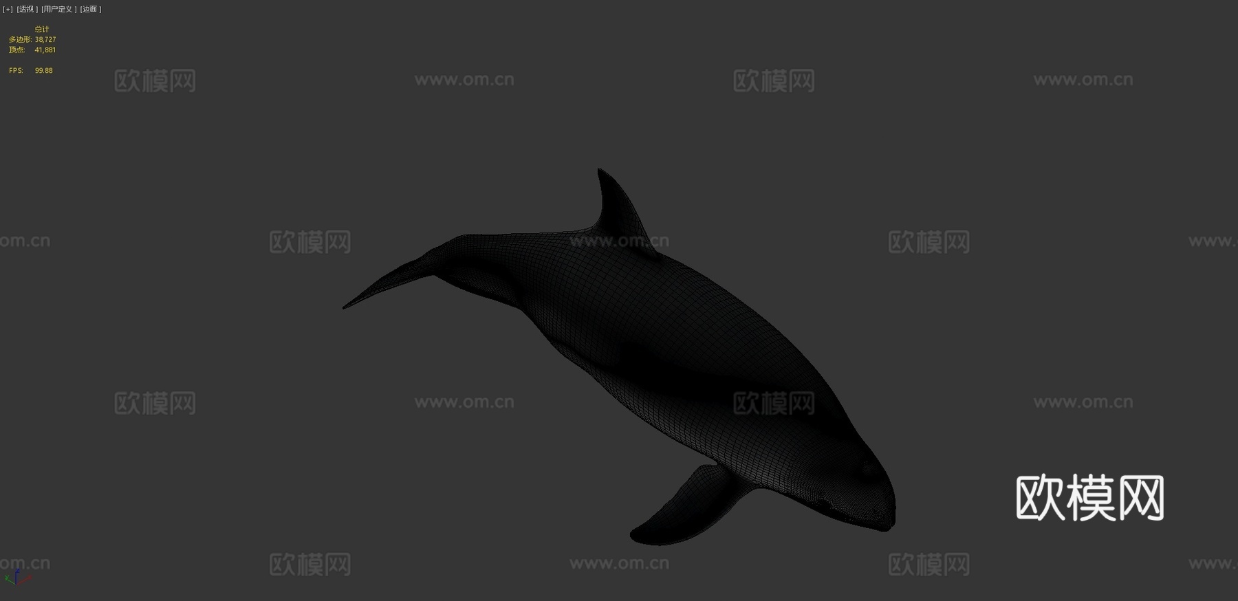 雌性小头鼠海豚3d模型