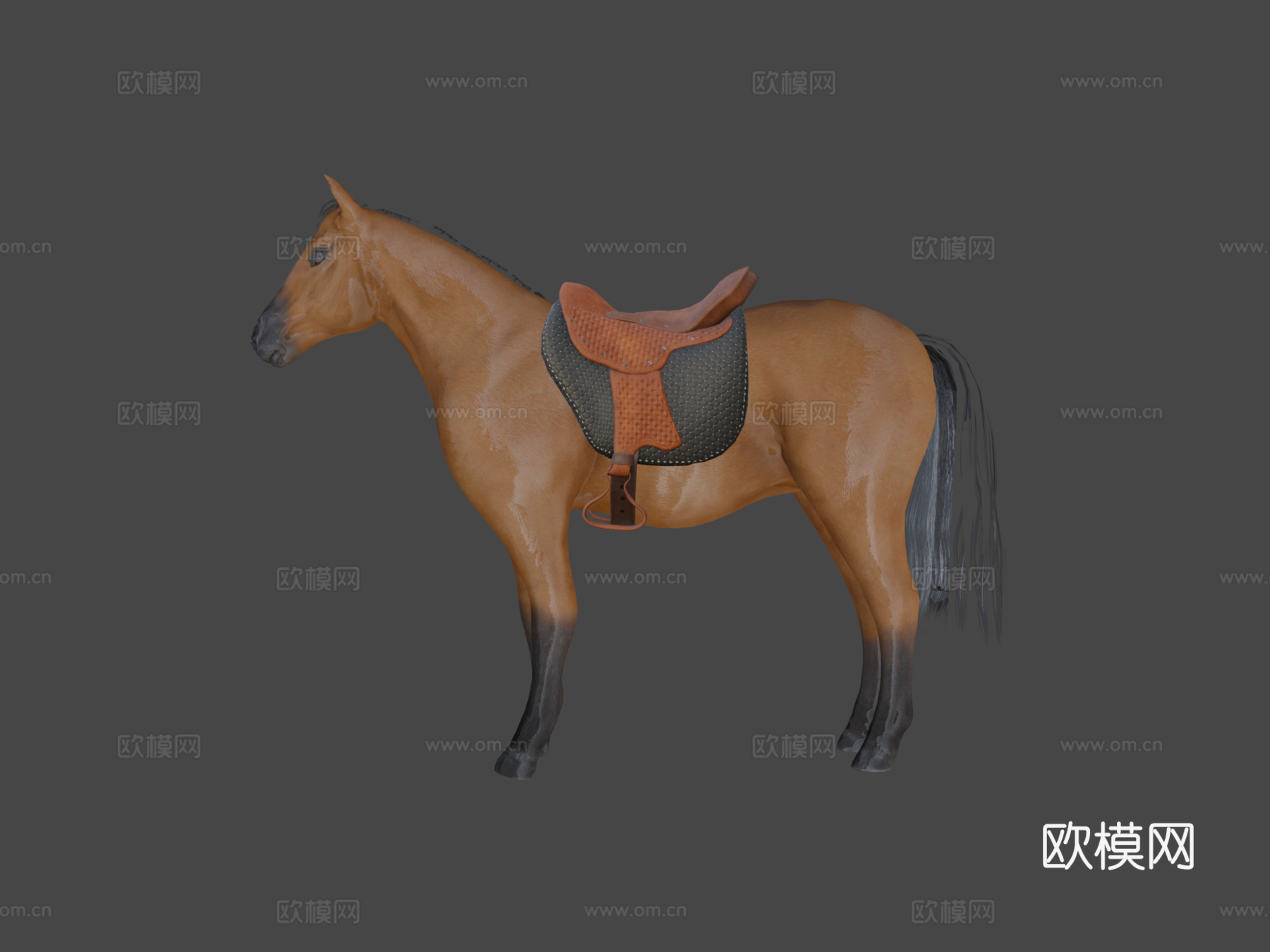 棕色马绑定3d模型