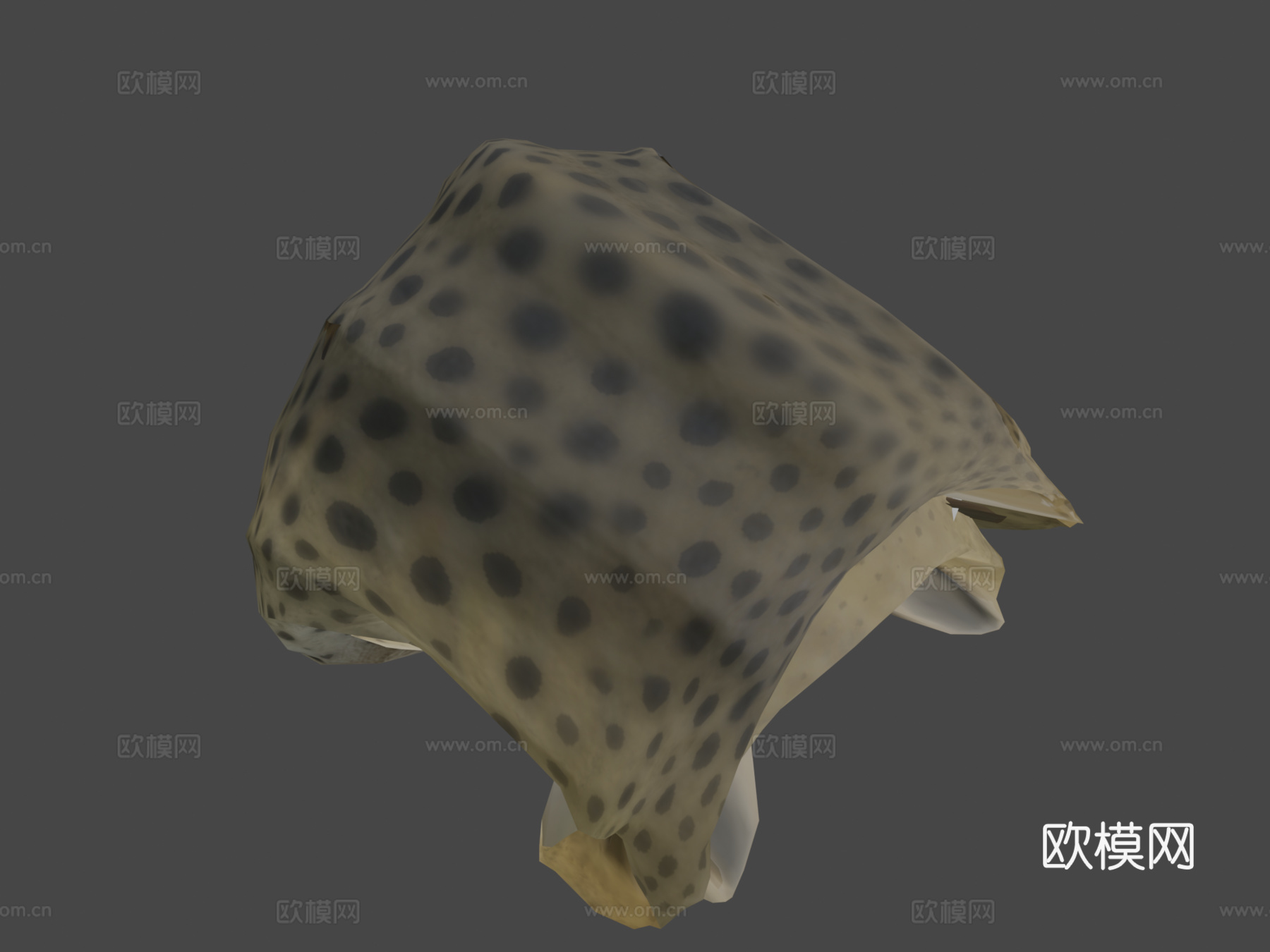 斑马鲨♂3d模型