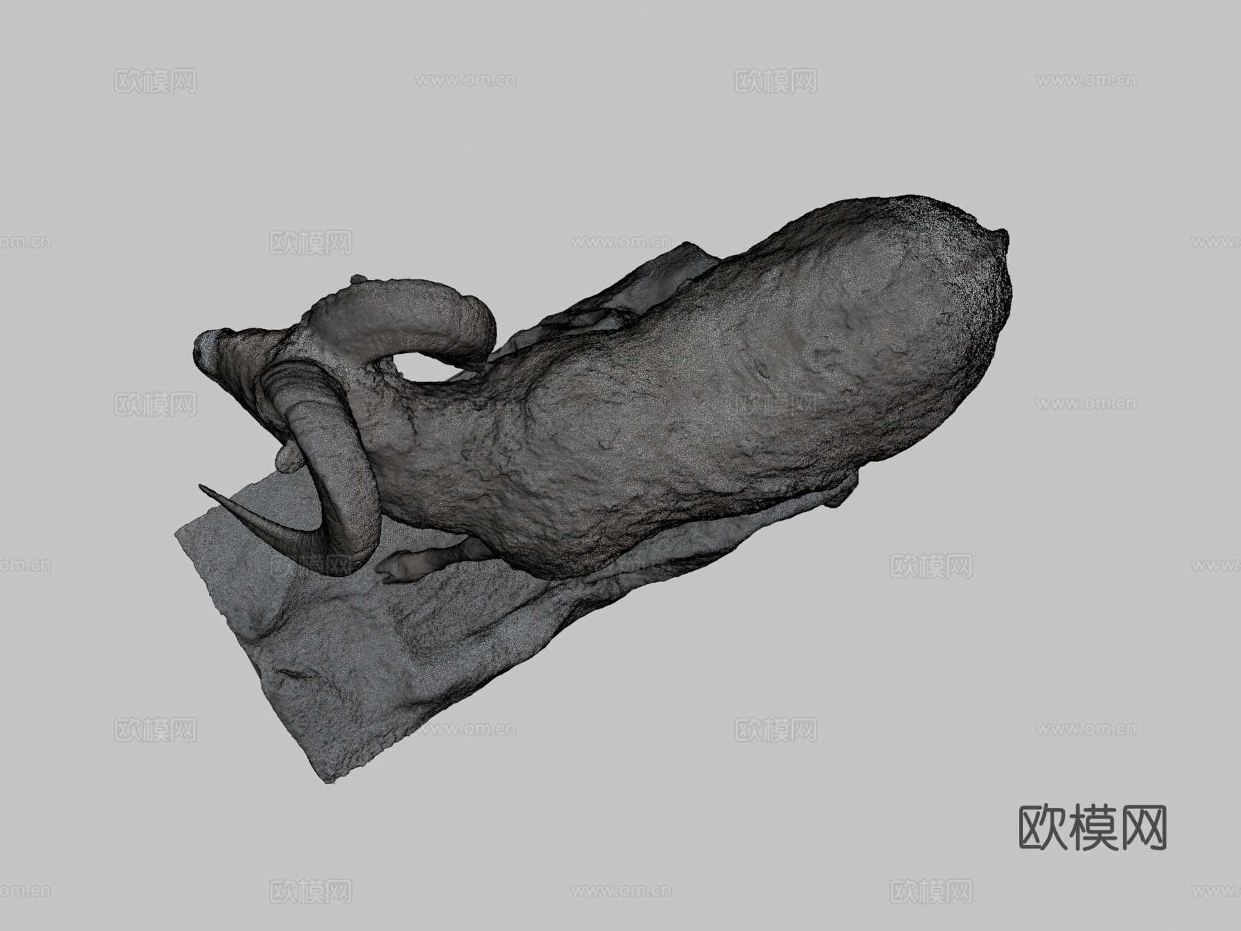大角羊3d模型