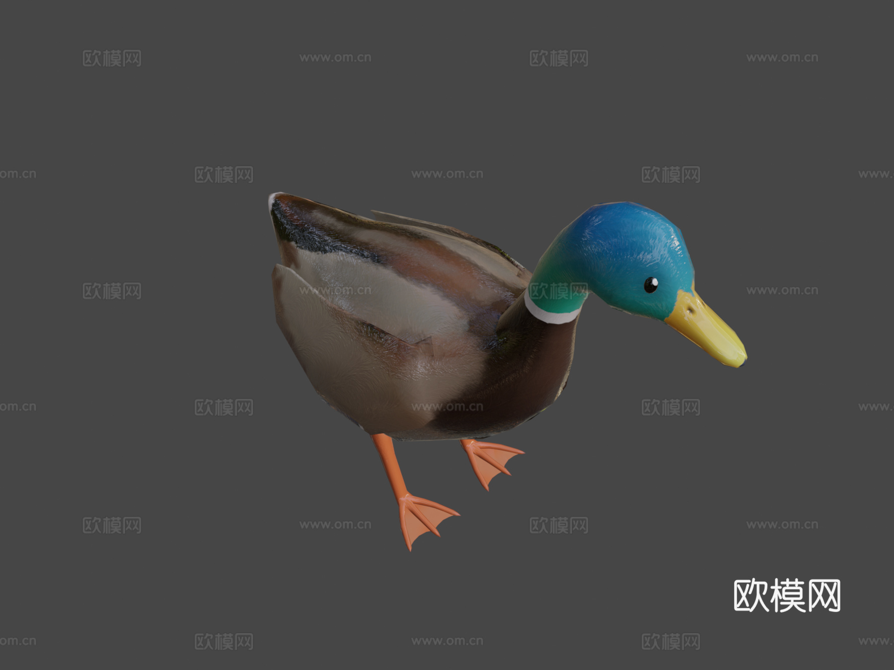 绿头鸭3d模型