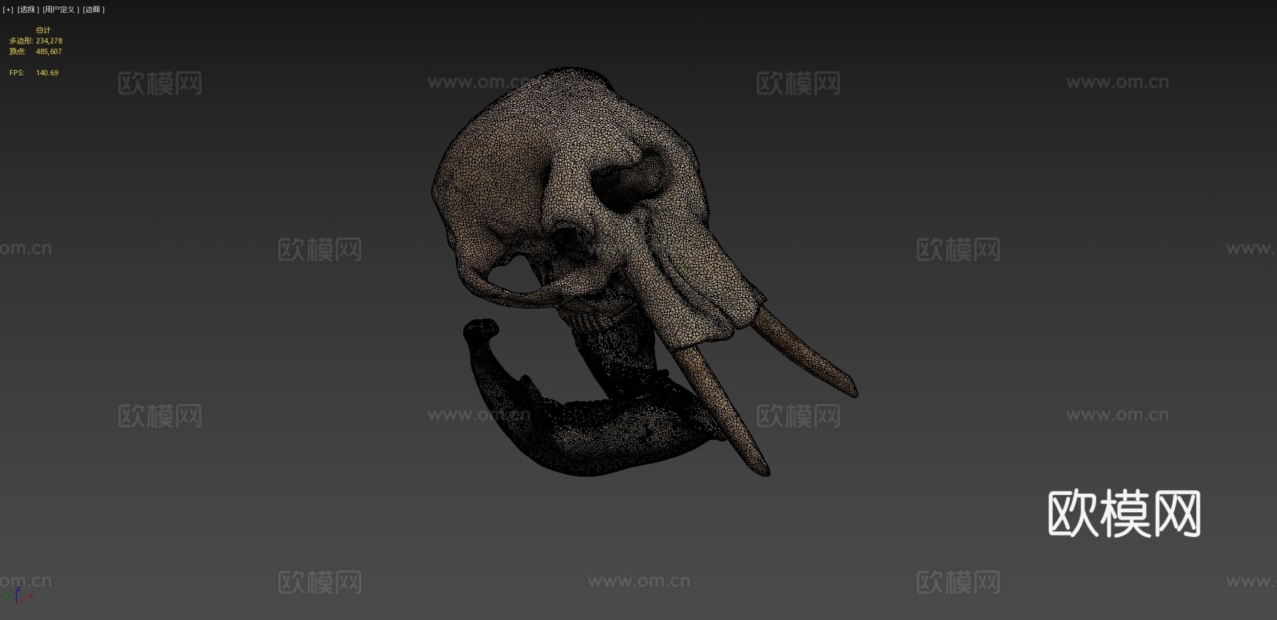 大象头骨3d模型