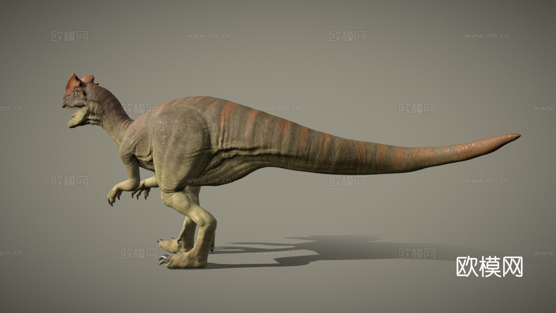双脊龙3d模型