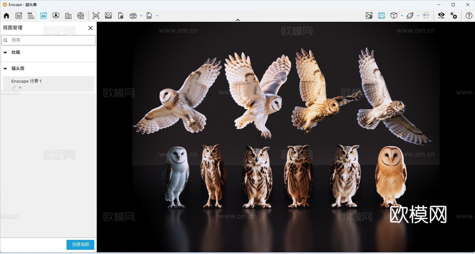 2D动物 猫头鹰 动物园 野生动物 动物世界 野外动物 飞禽su模型