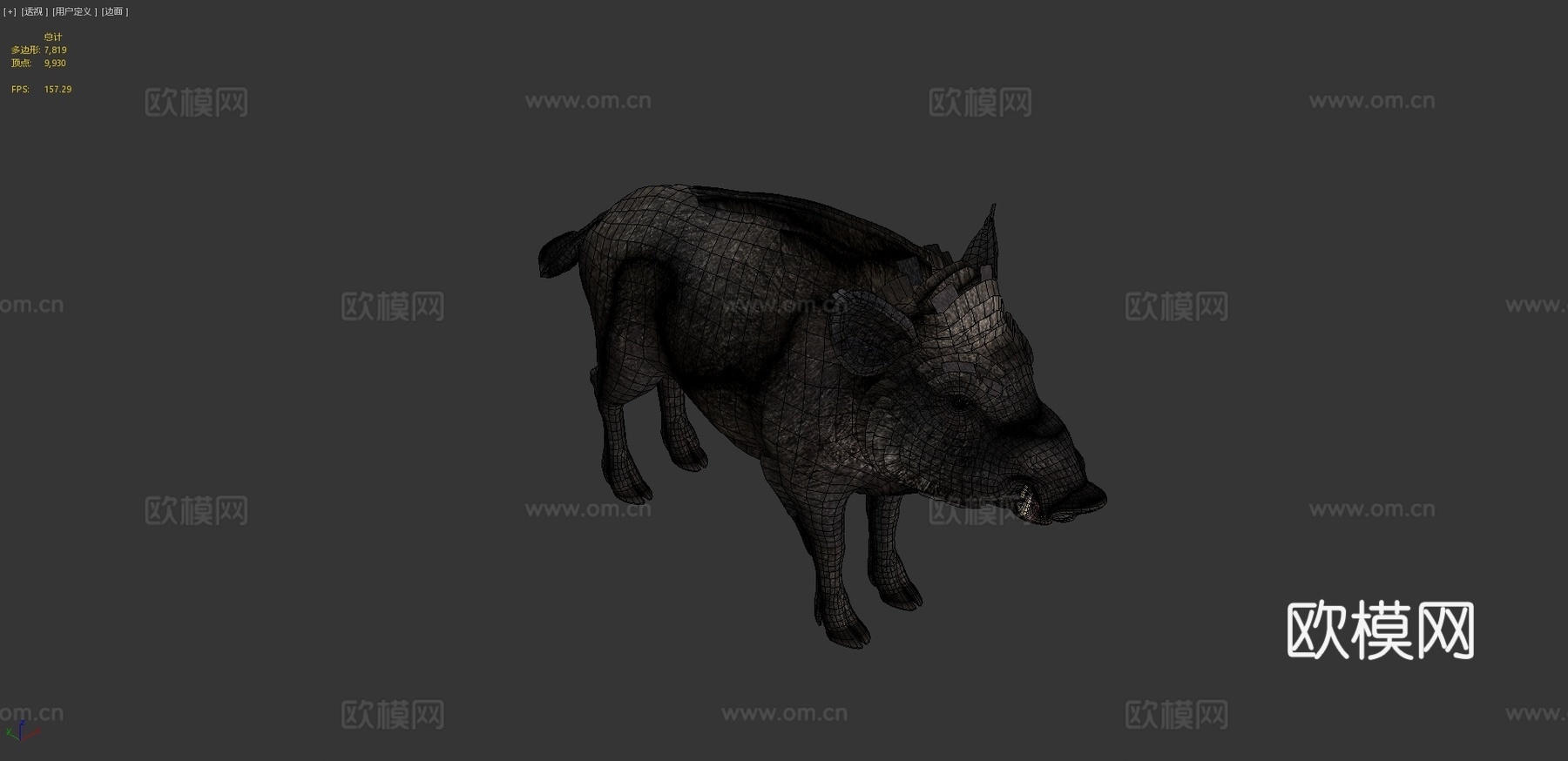 野猪-雄性3d模型