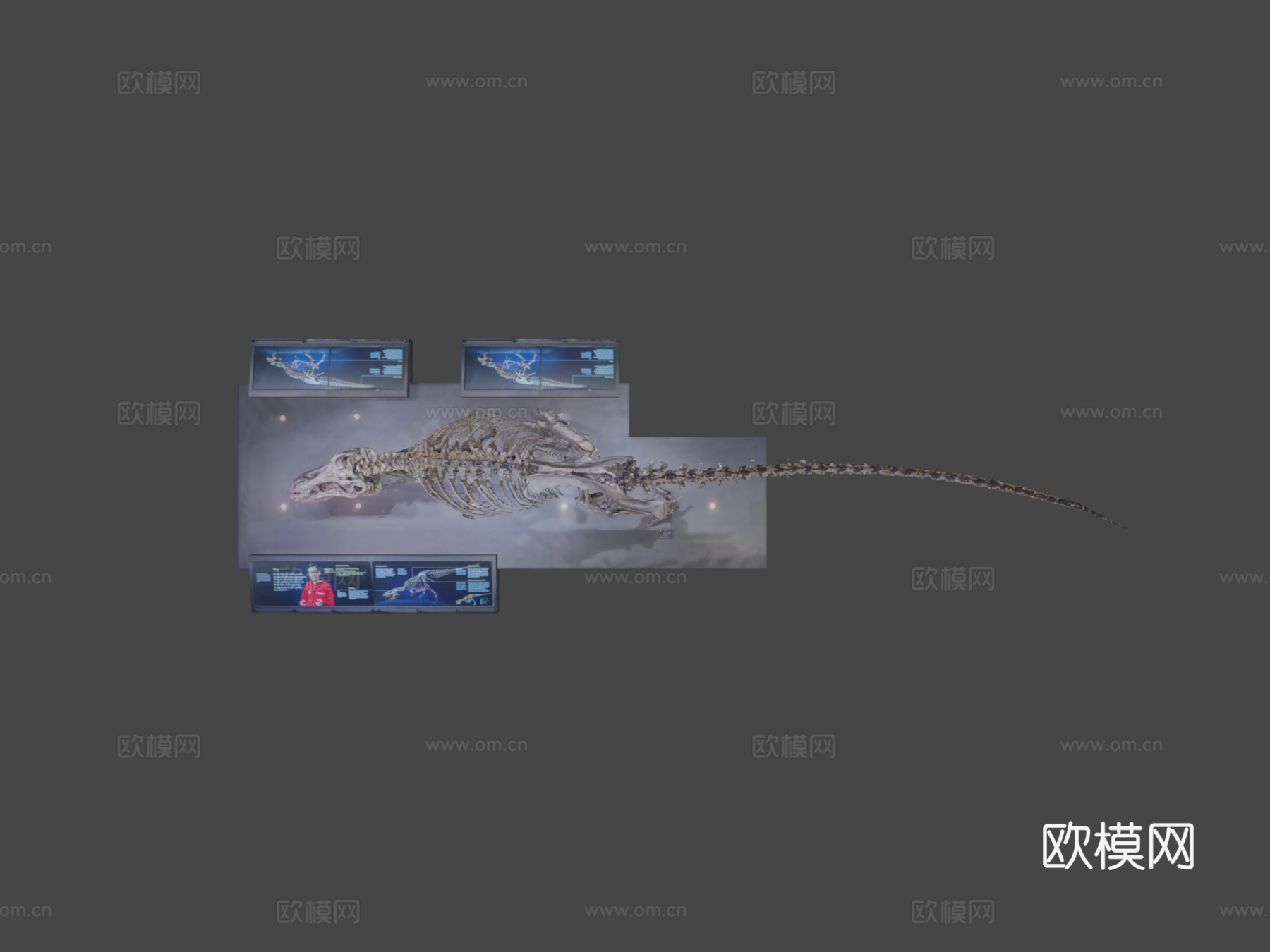 暴龙特里克3d模型
