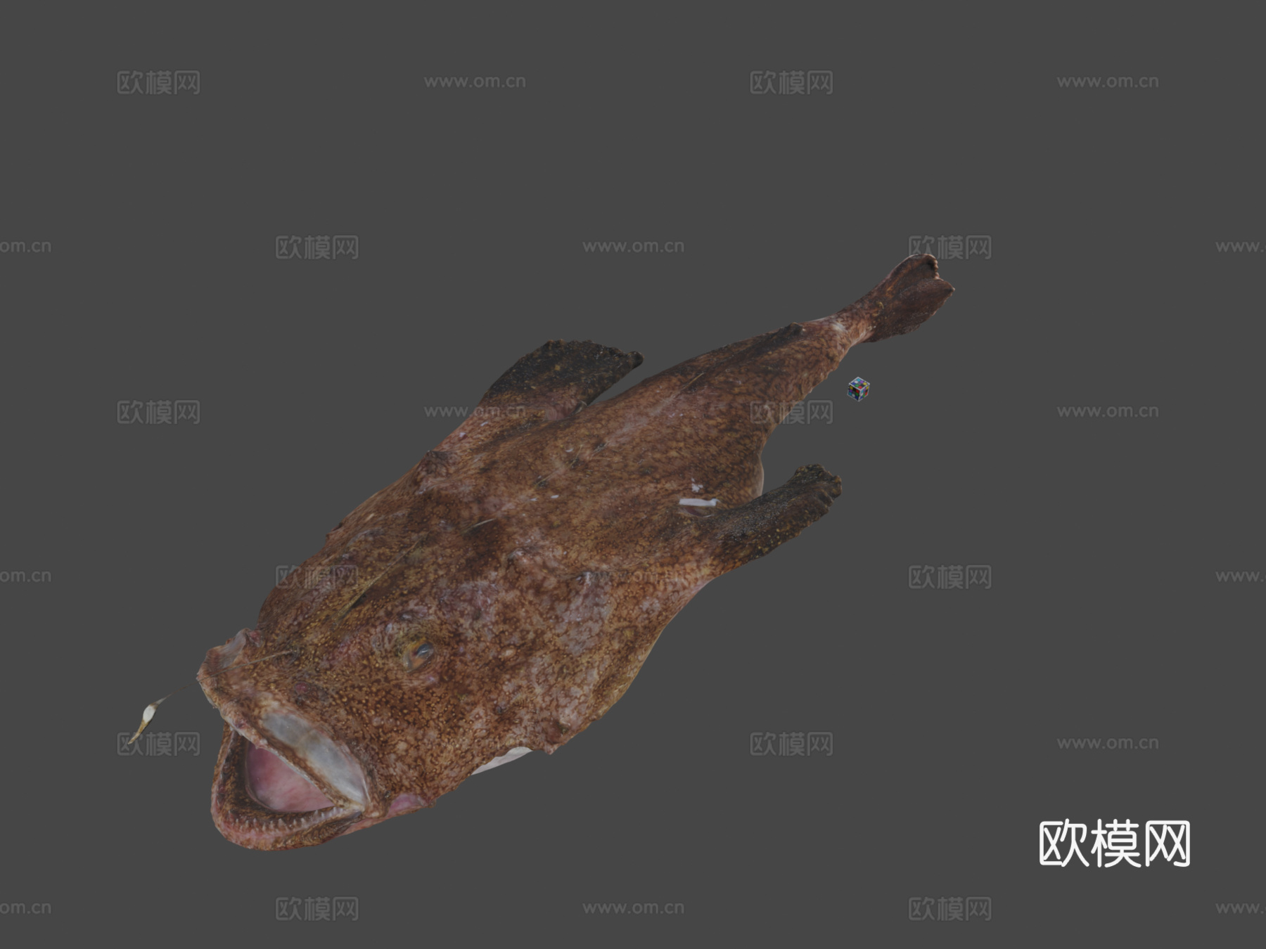 CC0黄鮟鱇鱼3d模型