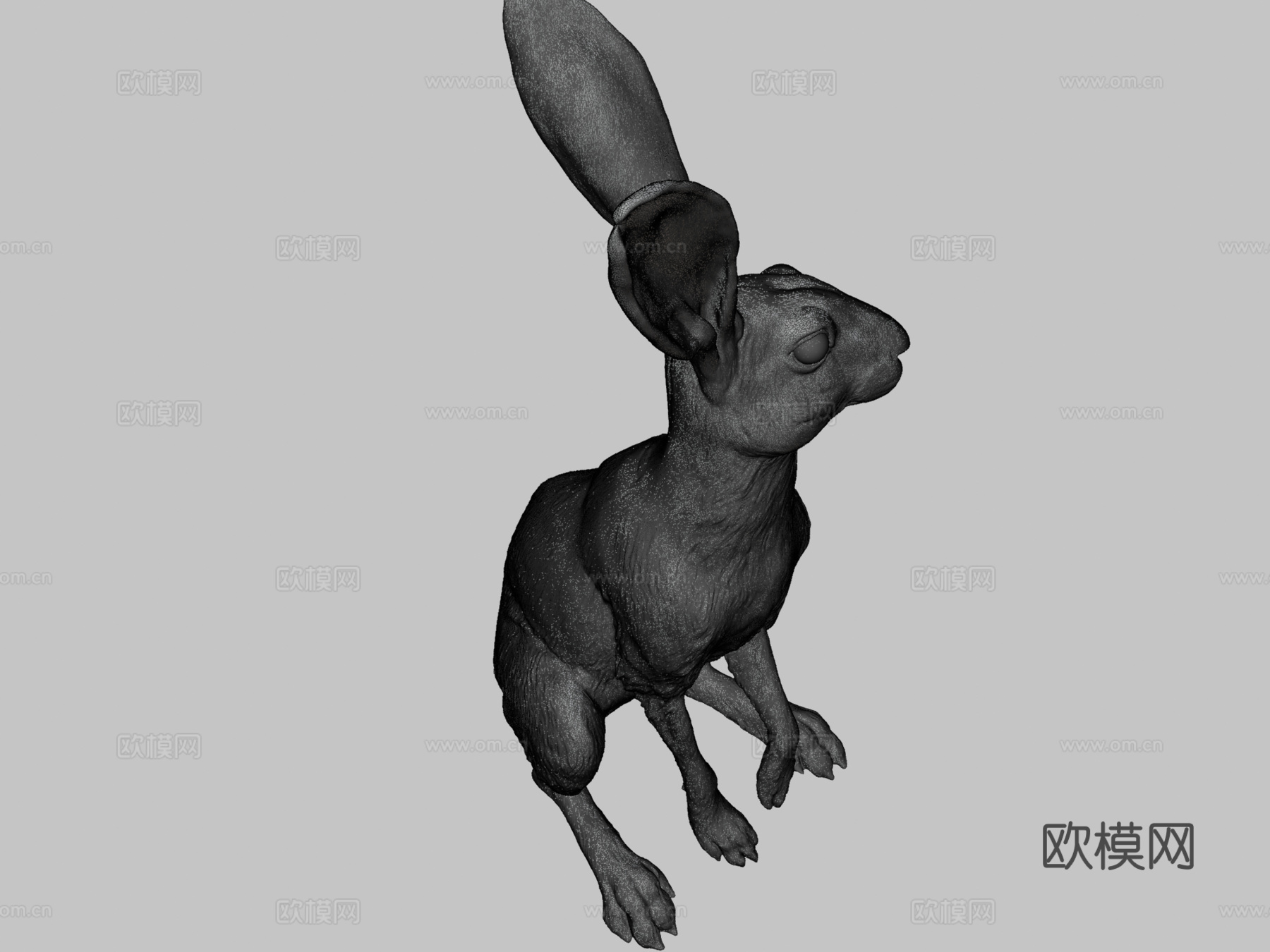 野兔-3D雕刻3d模型