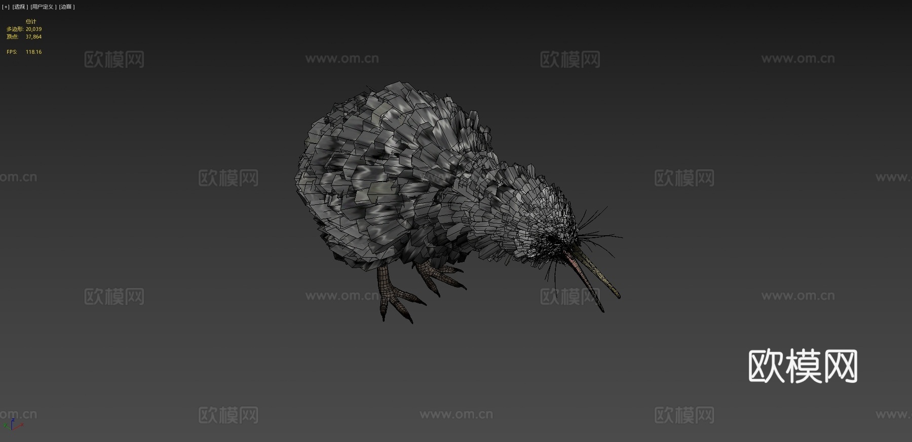 小斑点几维鸟3d模型