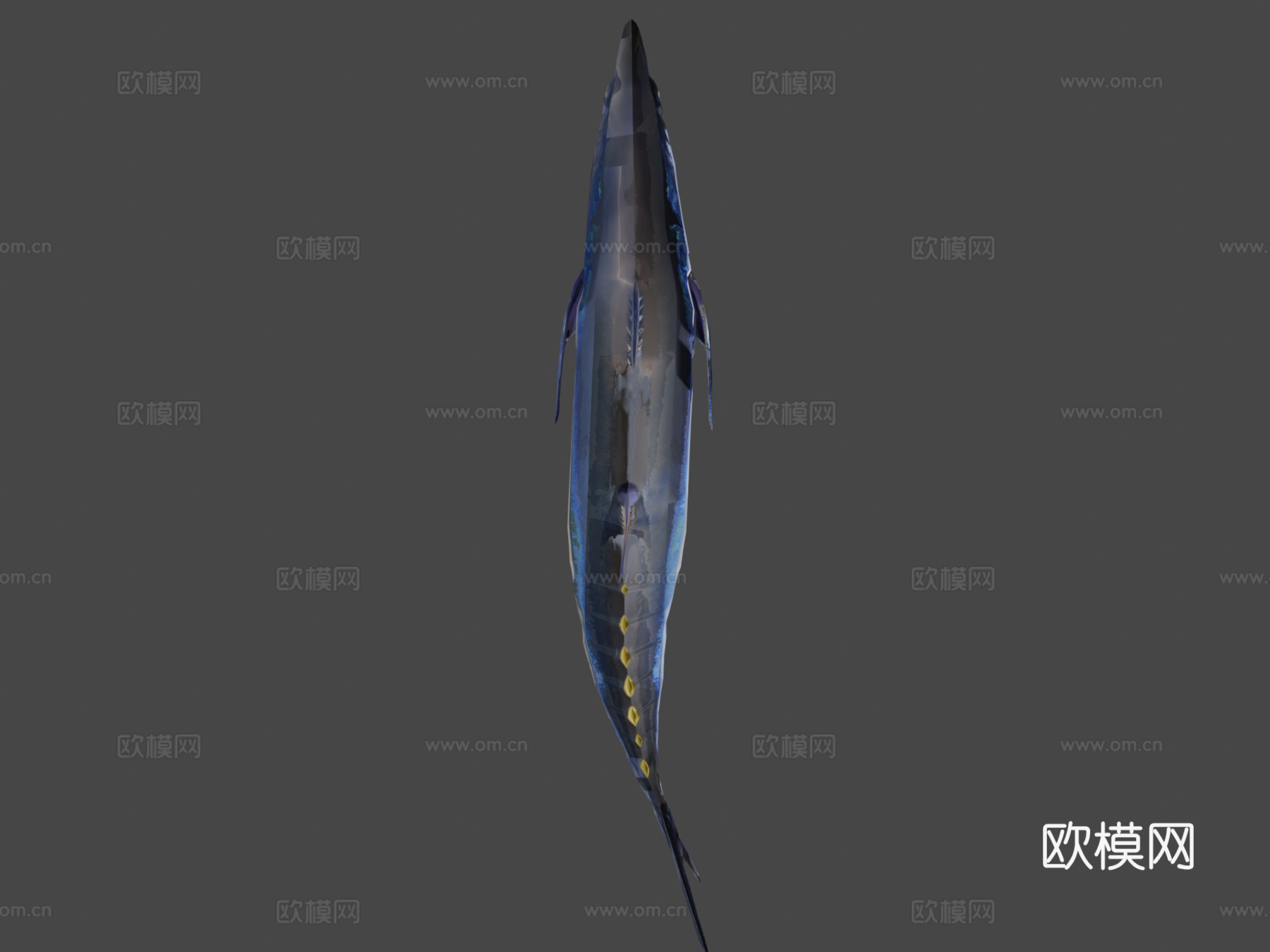 金枪鱼3d模型