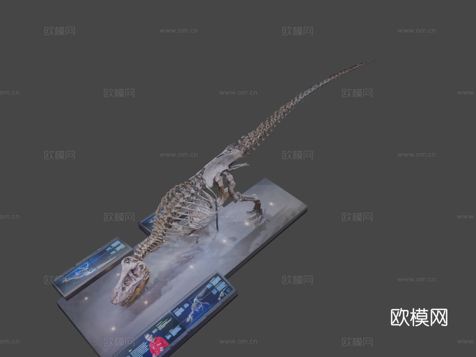 暴龙特里克3d模型