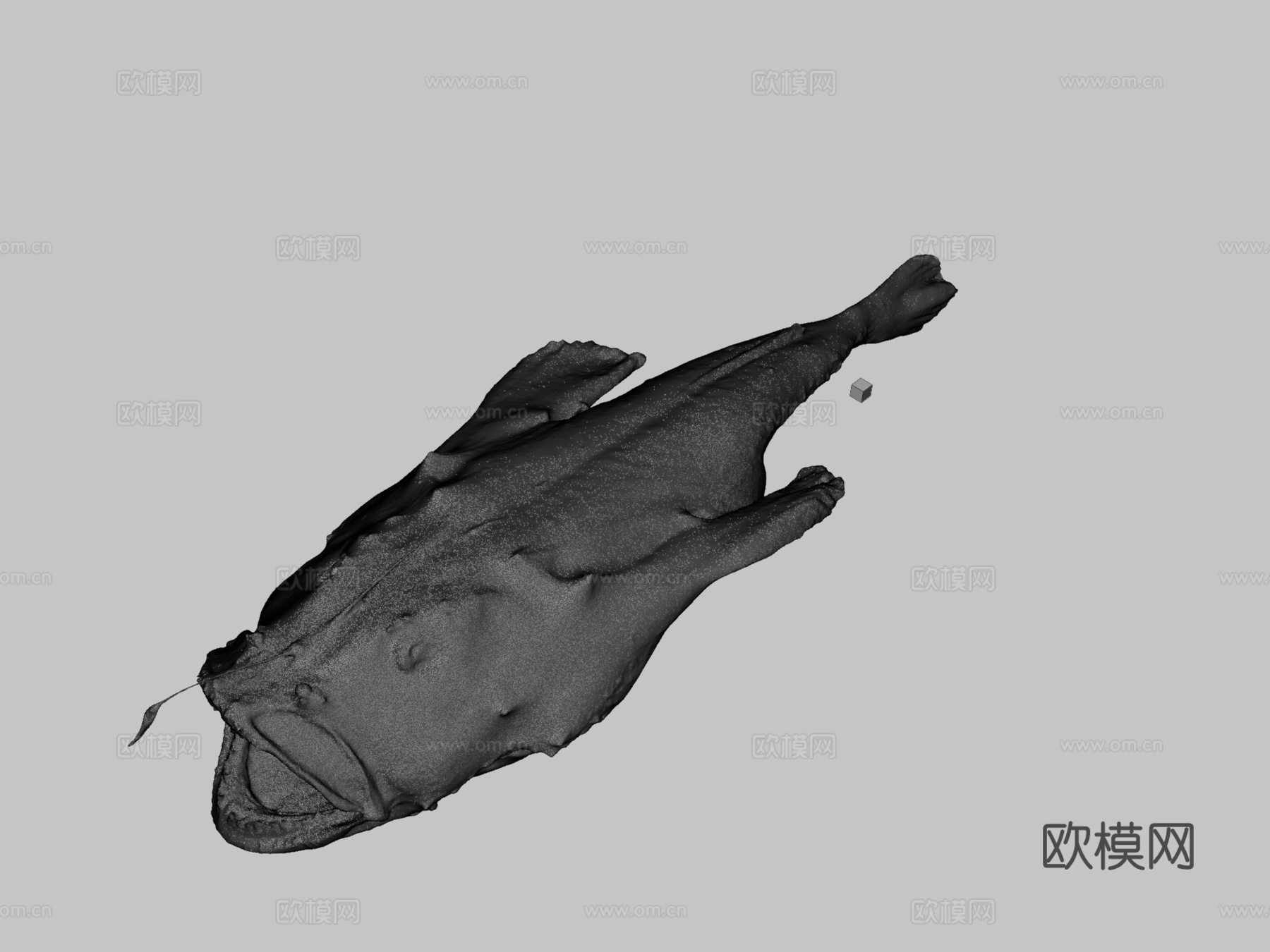 CC0黄鮟鱇鱼3d模型