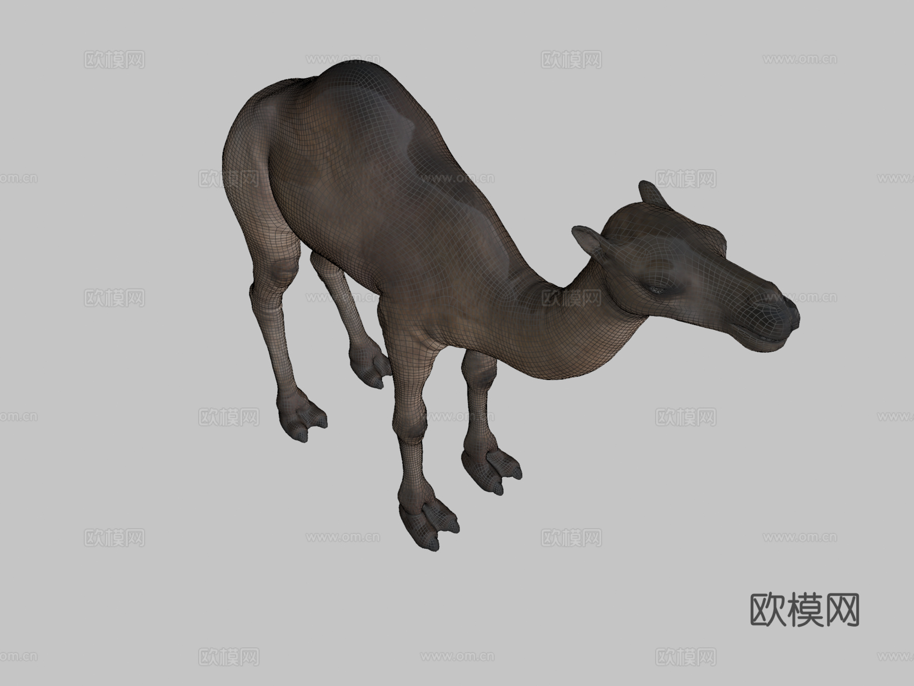 骆驼3d模型