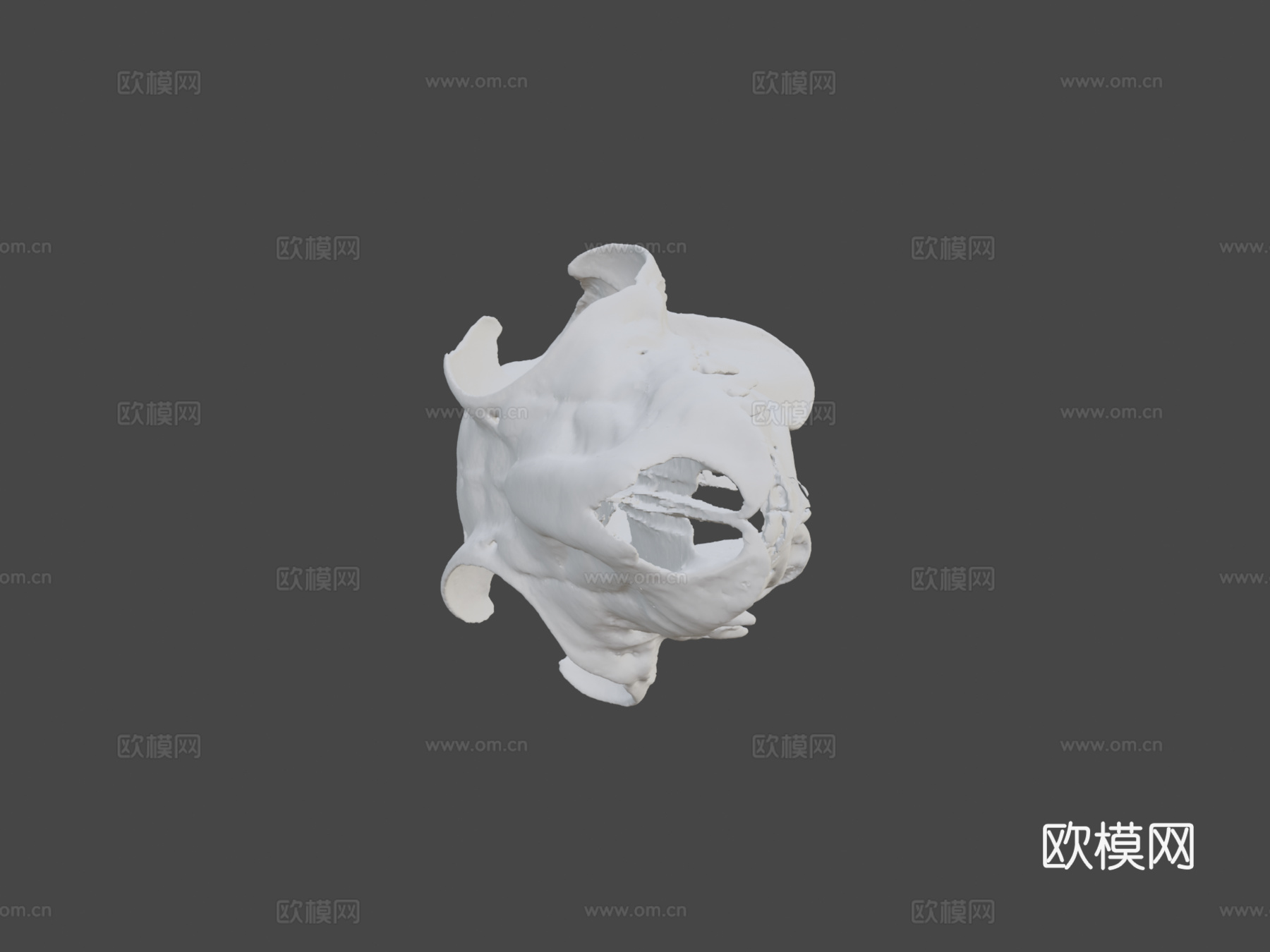 UMZC E.4023.A鼯猴3d模型